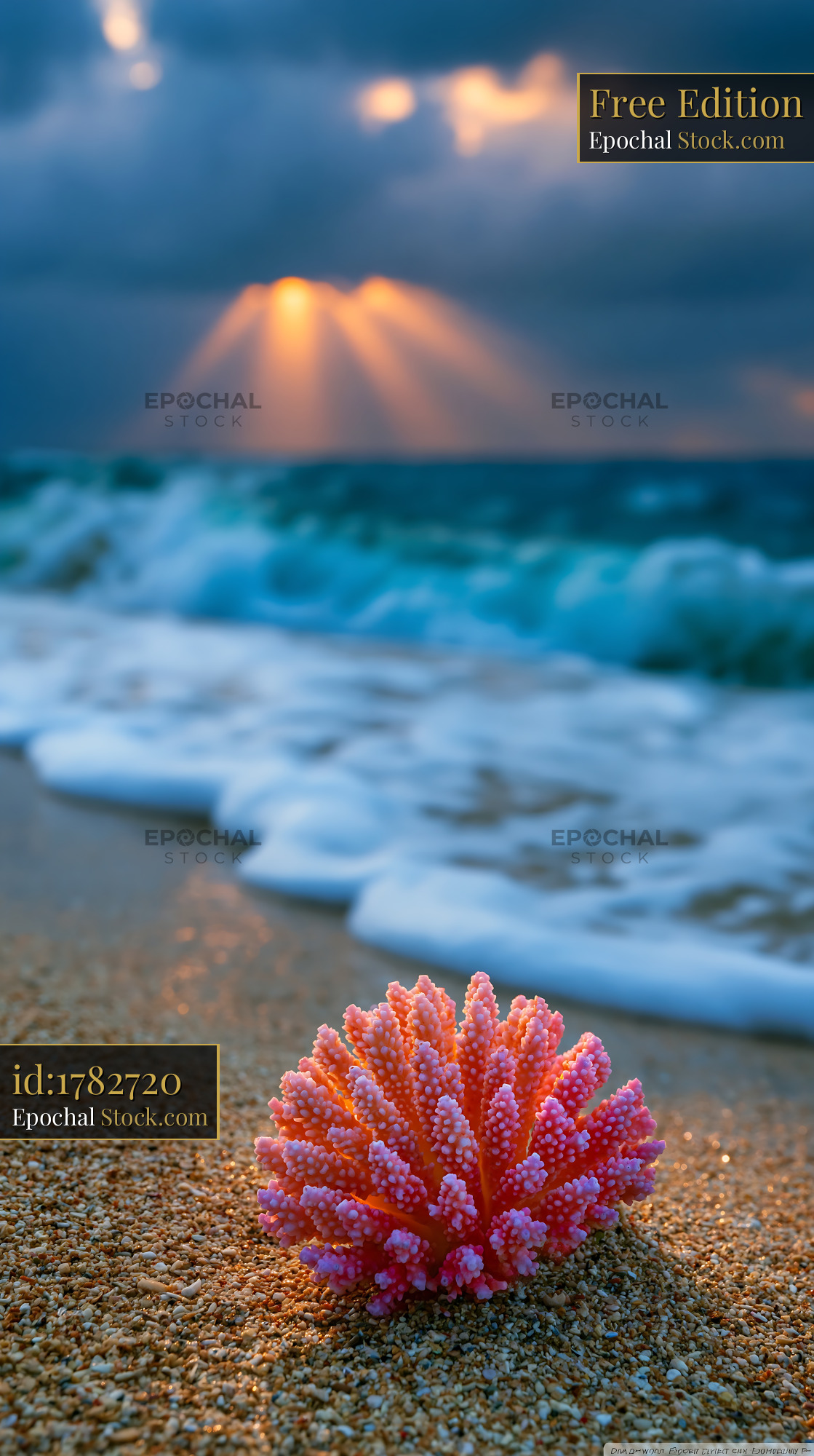 Pink coral on a sandy beach during sunset with ocean waves - stock photo