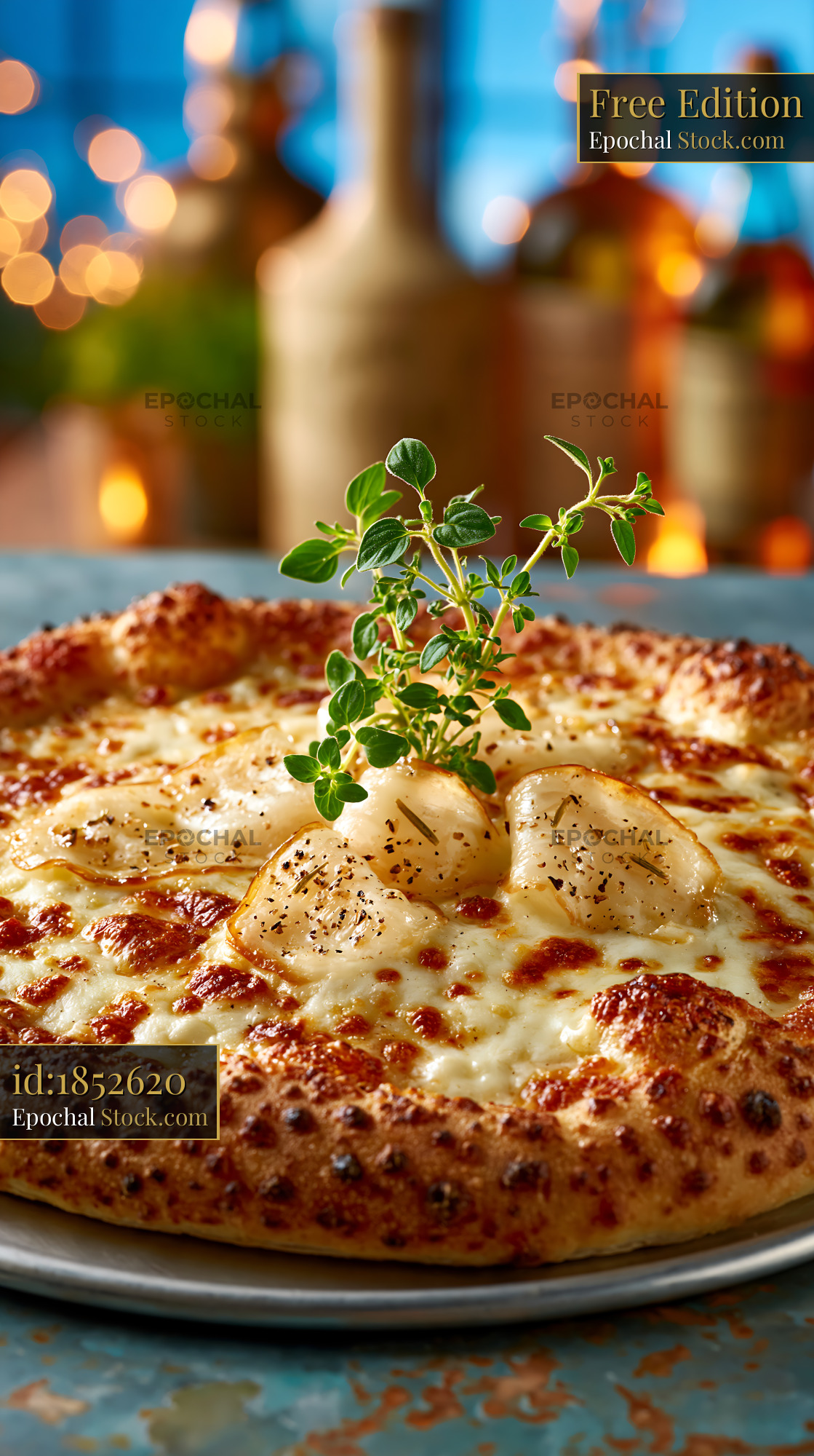 Gourmet pizza topped with lardo di colonnata and fresh oregano - stock photo