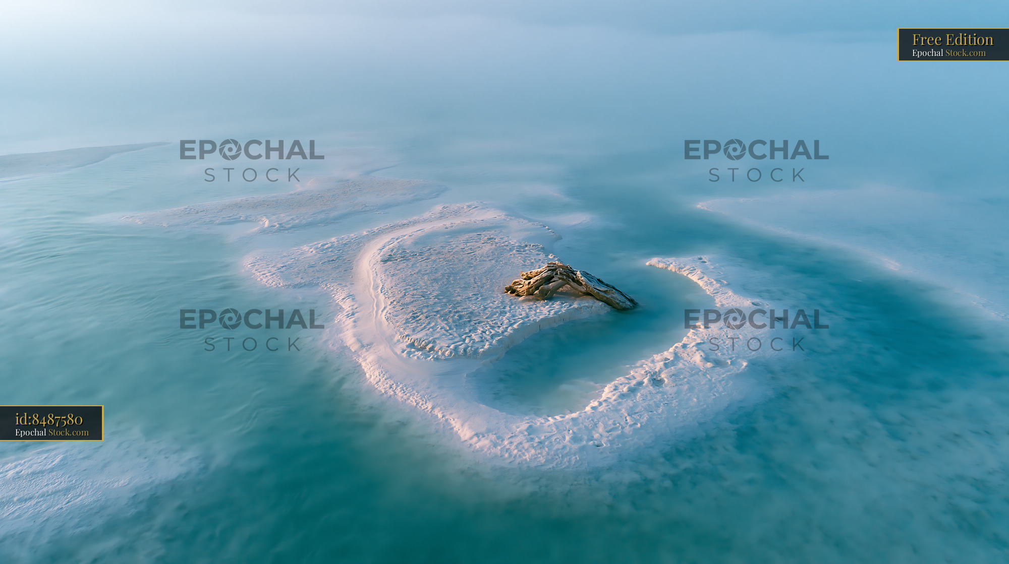 Salt island with weathered driftwood in turquoise water of the Dead Se - stock photo