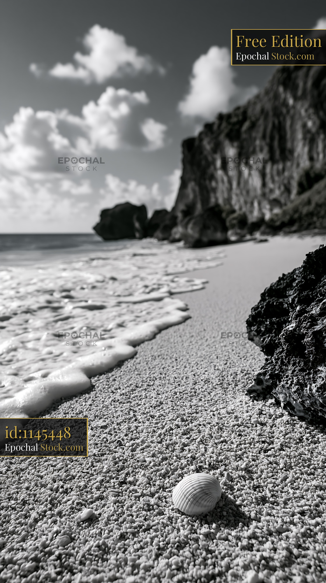 Solitary seashell on a pebbly beach with waves and cliffs - stock photo
