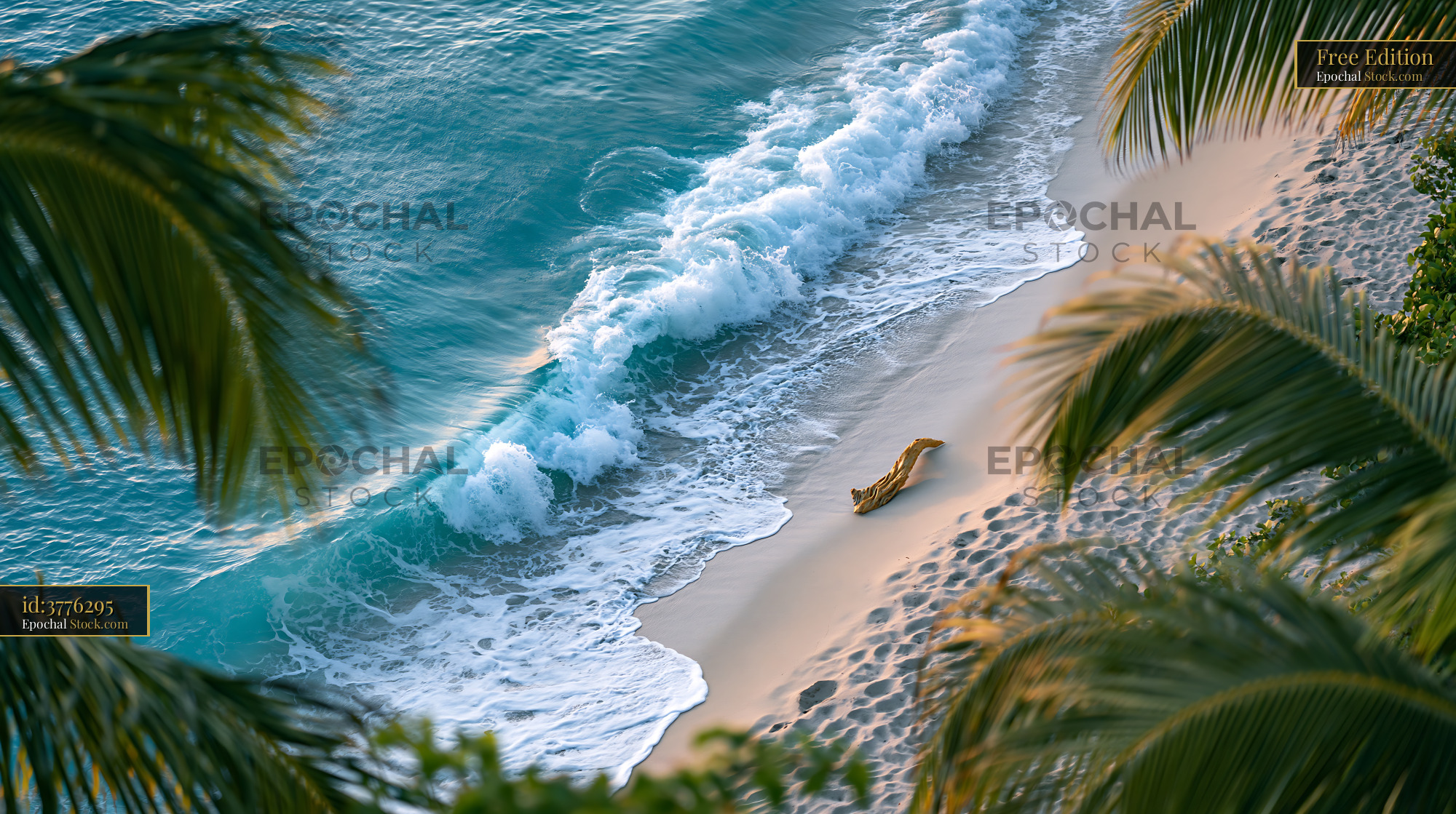 High angle view of tropical beach with turquoise waves and palm trees - stock photo