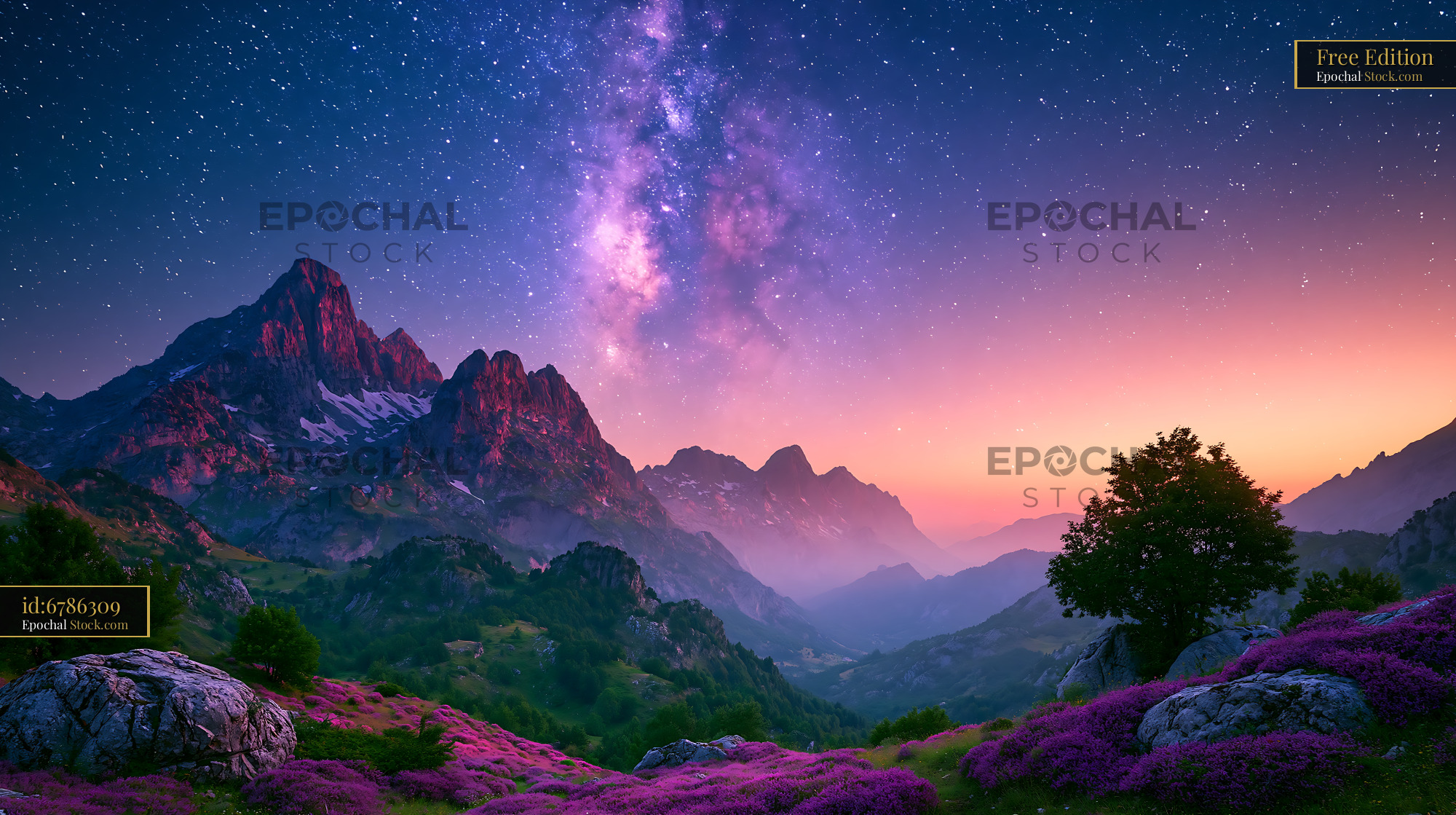 Milky Way over the Atlas Mountains with blooming purple meadows - stock photo