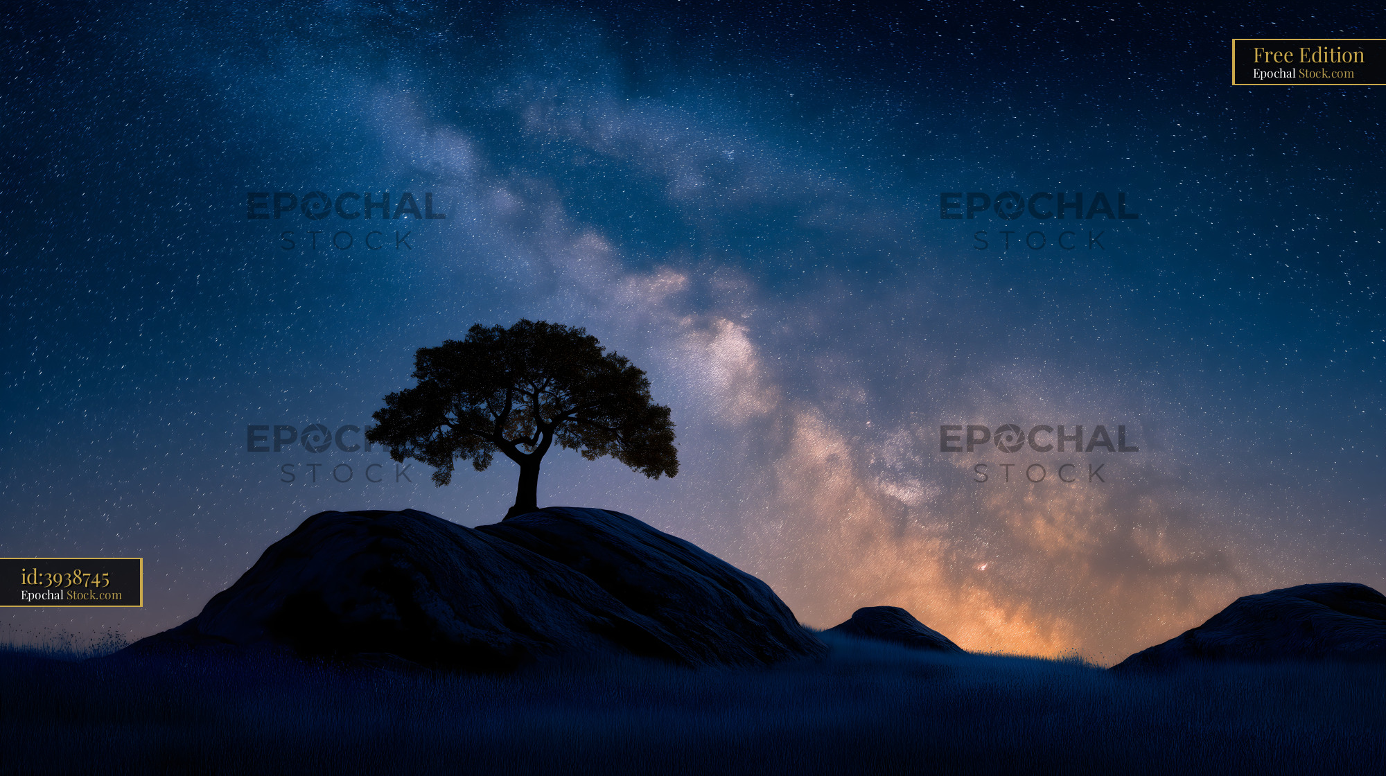 Night sky with a tree on a hilltop under stars Free Premium Stock Image