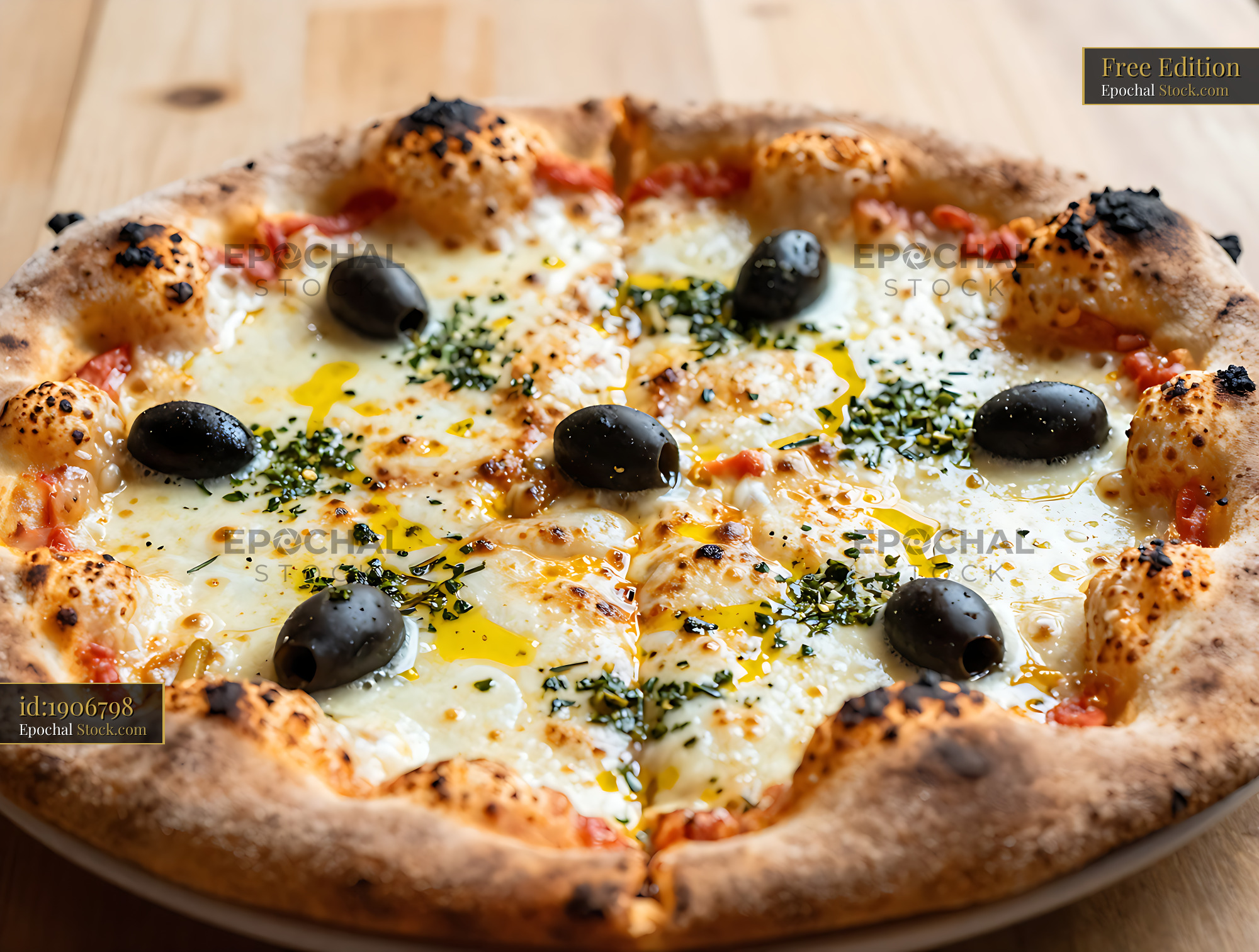 Argentine pizza a la piedra with melted mozzarella and black olives - stock photo