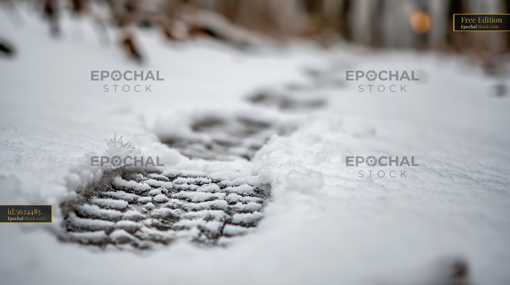 Boot footprints in deep snow along a quiet winter forest path - stock photo