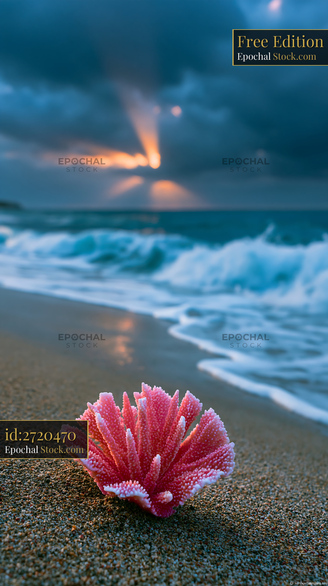 Pink coral on sandy beach with sunbeams breaking through clouds