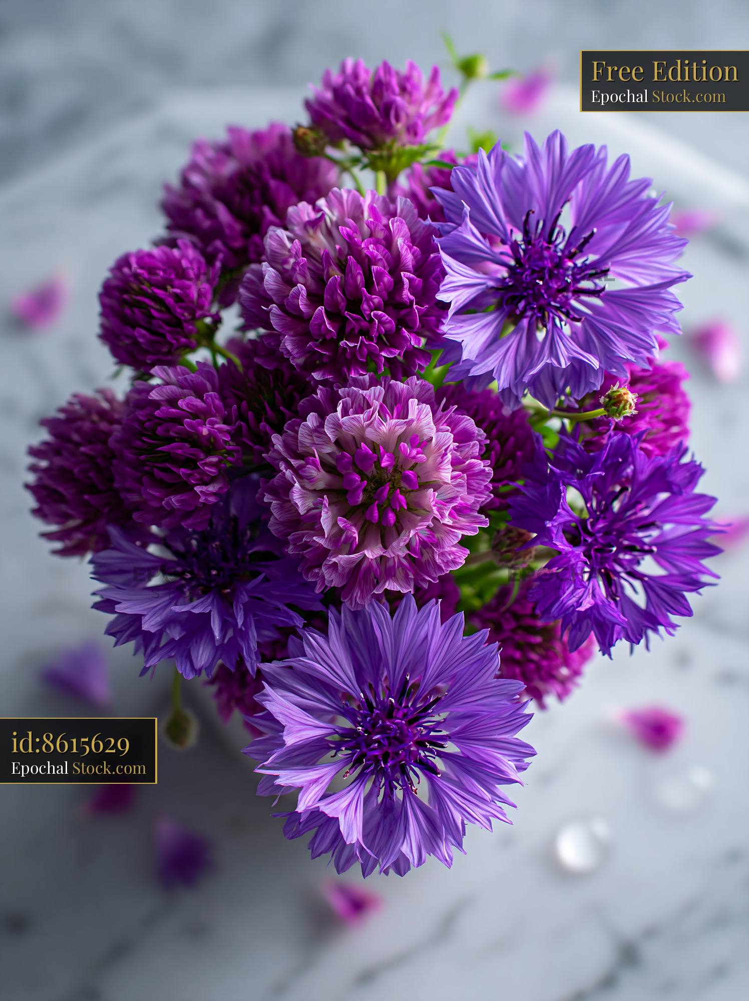 Purple clover and cornflowers arranged in a meadow flowers tabletop fl - stock photo