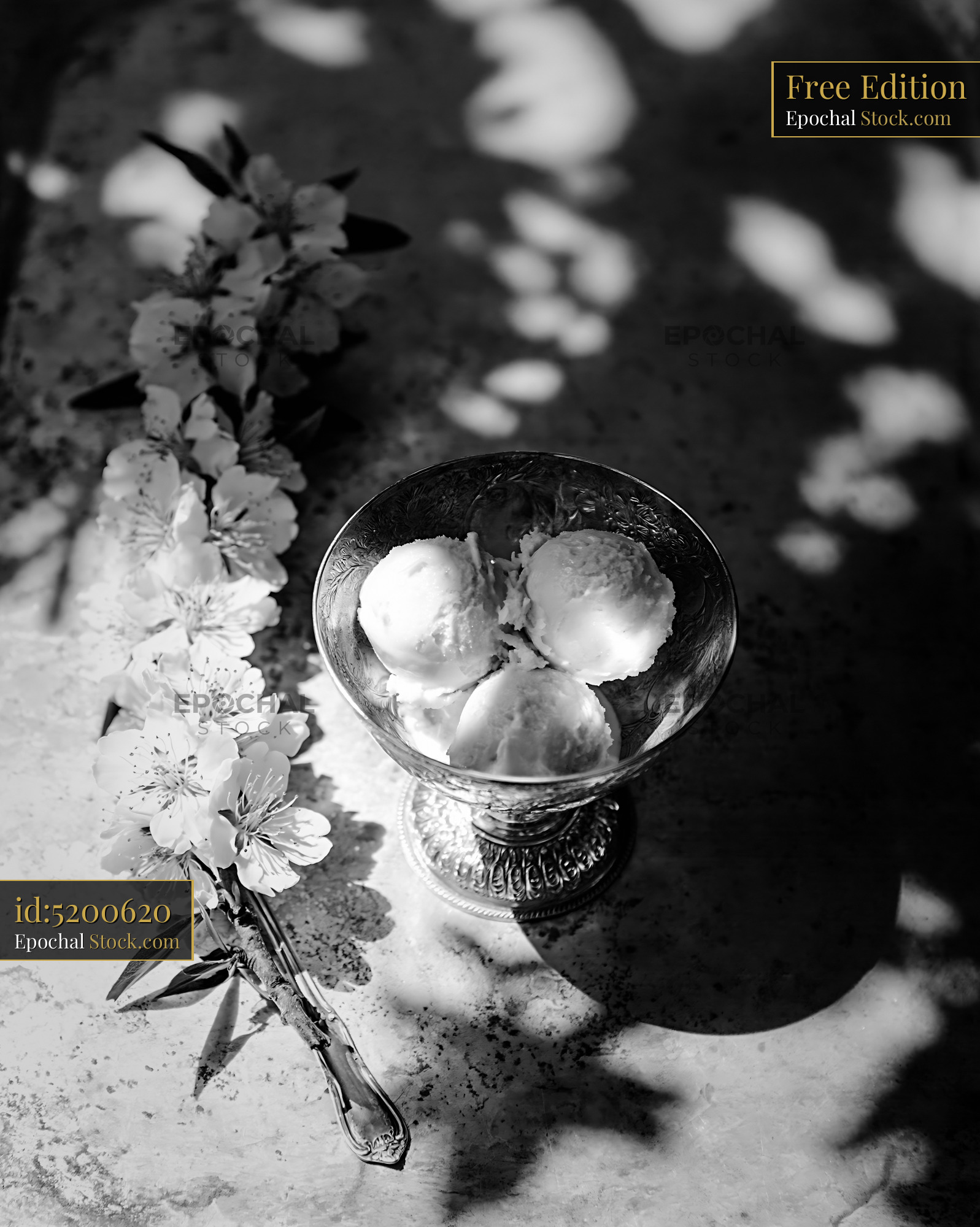 Almond paste ice cream in silver bowl with spring blossoms - stock photo