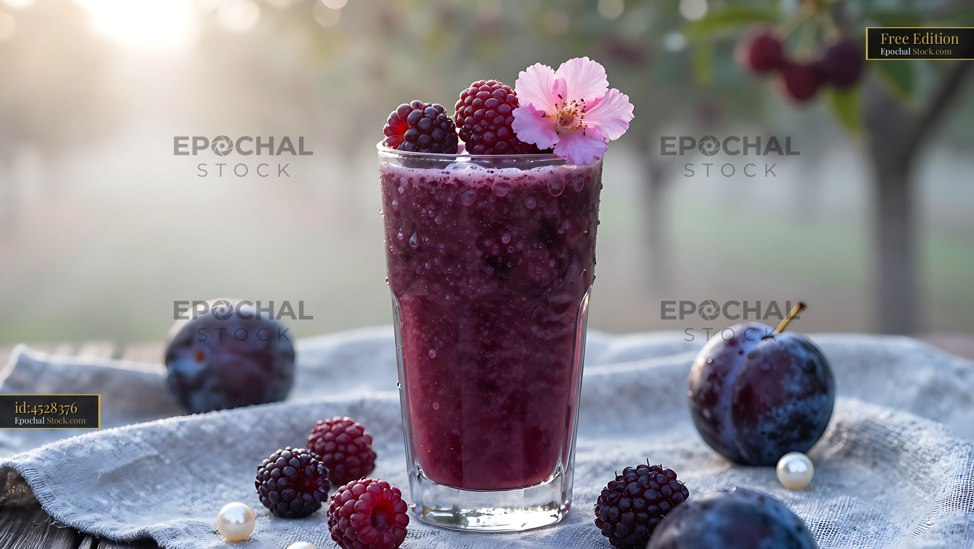 Damson Dewdrop smoothie with fresh plums and berries in a misty orchar - stock photo