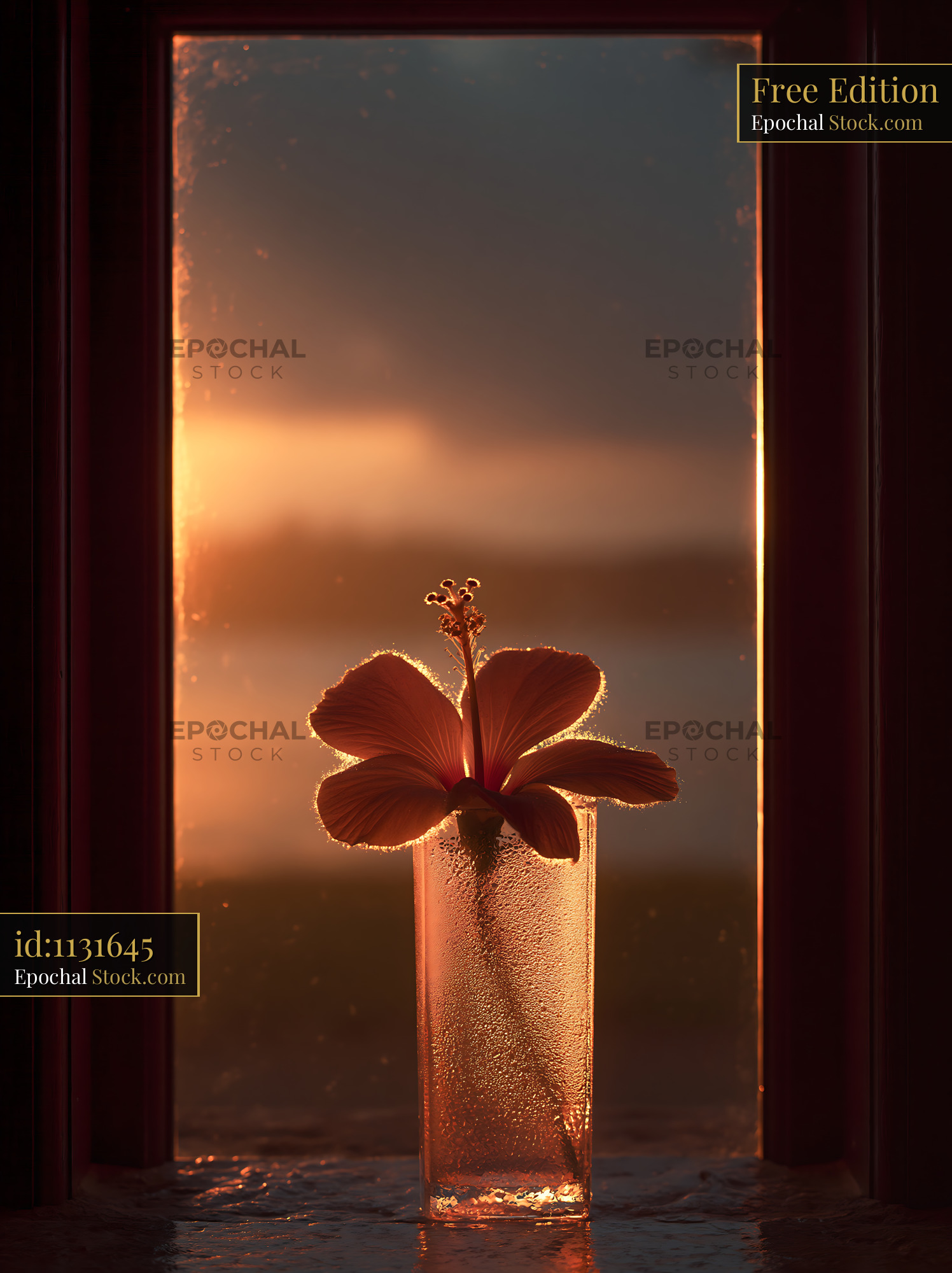 Hibiscus flower in glass on windowsill during golden hour sunset - stock photo