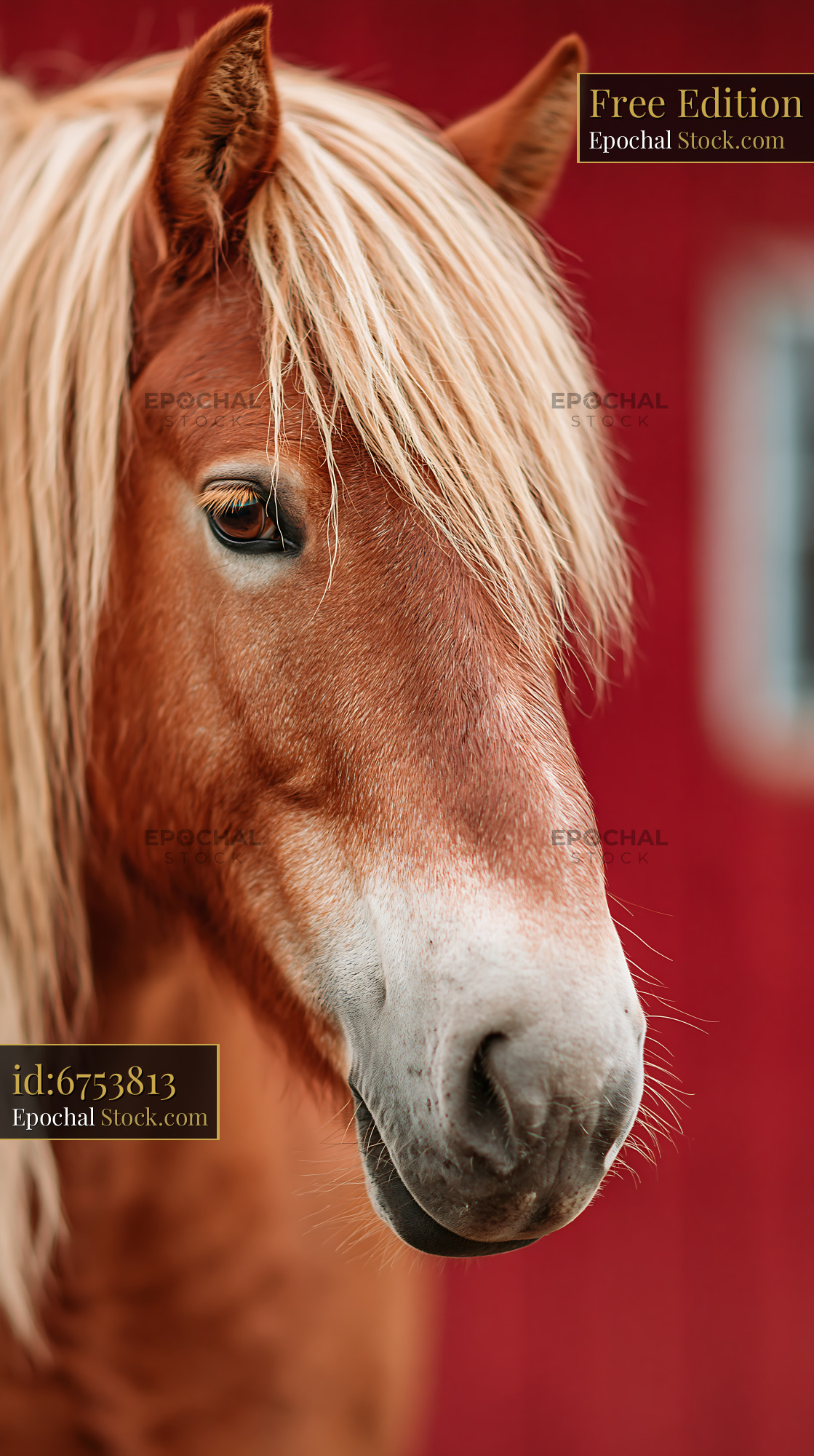 Portrait of a chestnut horse with flaxen mane against a red barn