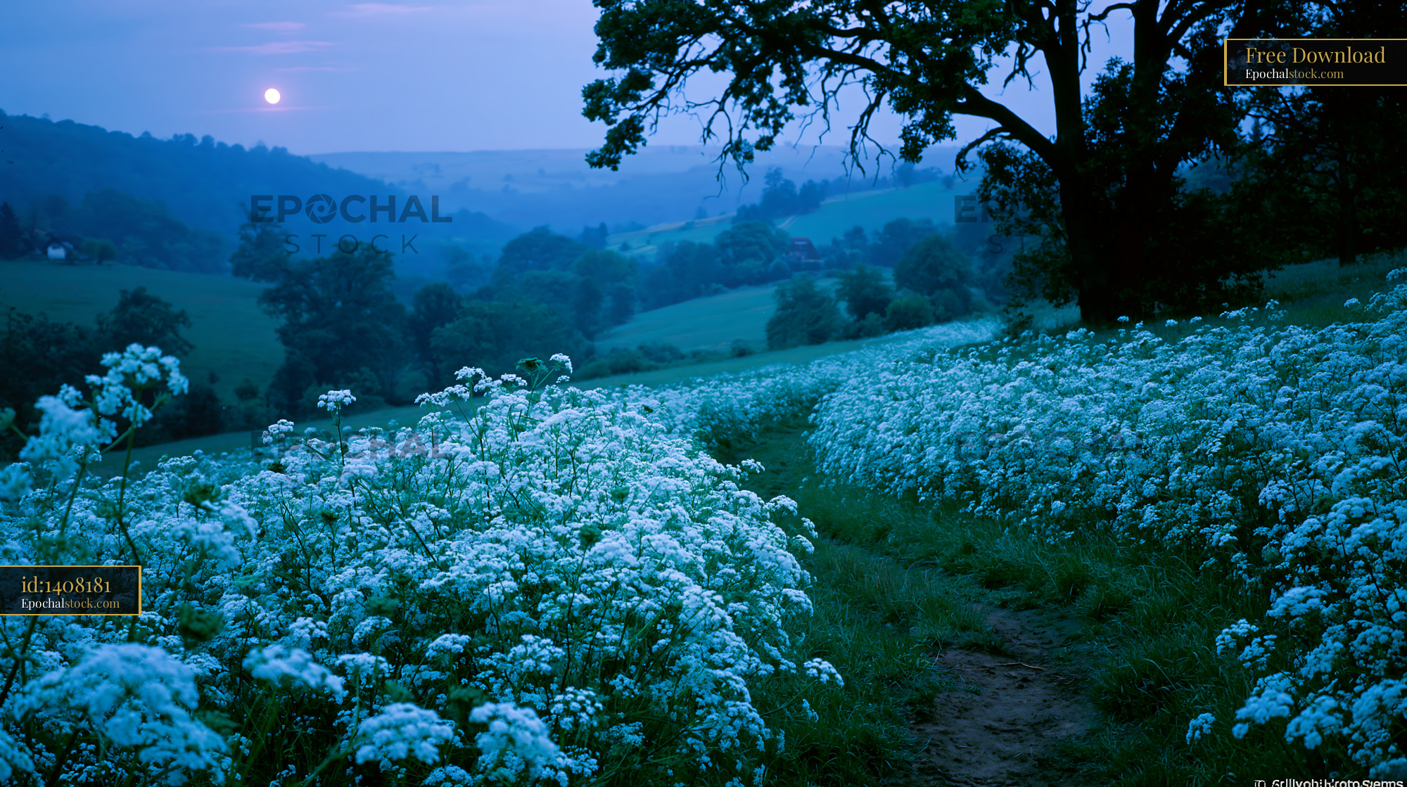 Watermarked full-resolution preview of Evening walk in a flower field under a full moon