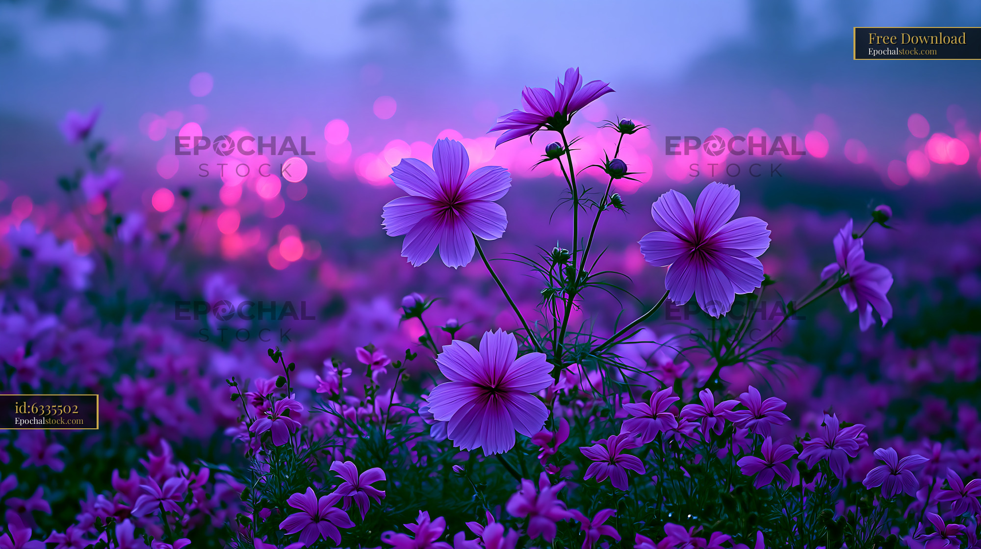Flowers Bloom in a Vibrant Field Under Twilight Sky - stock photo