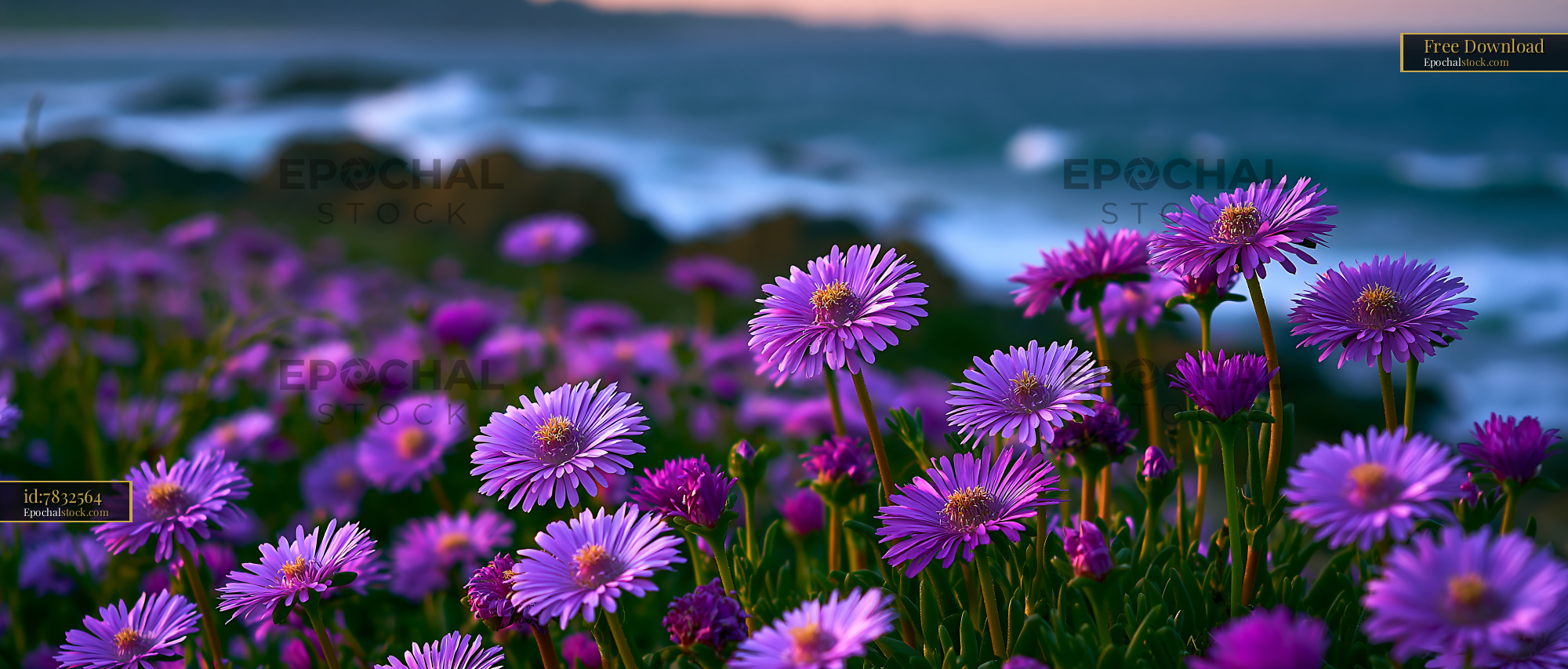 Watermarked full-resolution preview of Flower field by the ocean at sunset