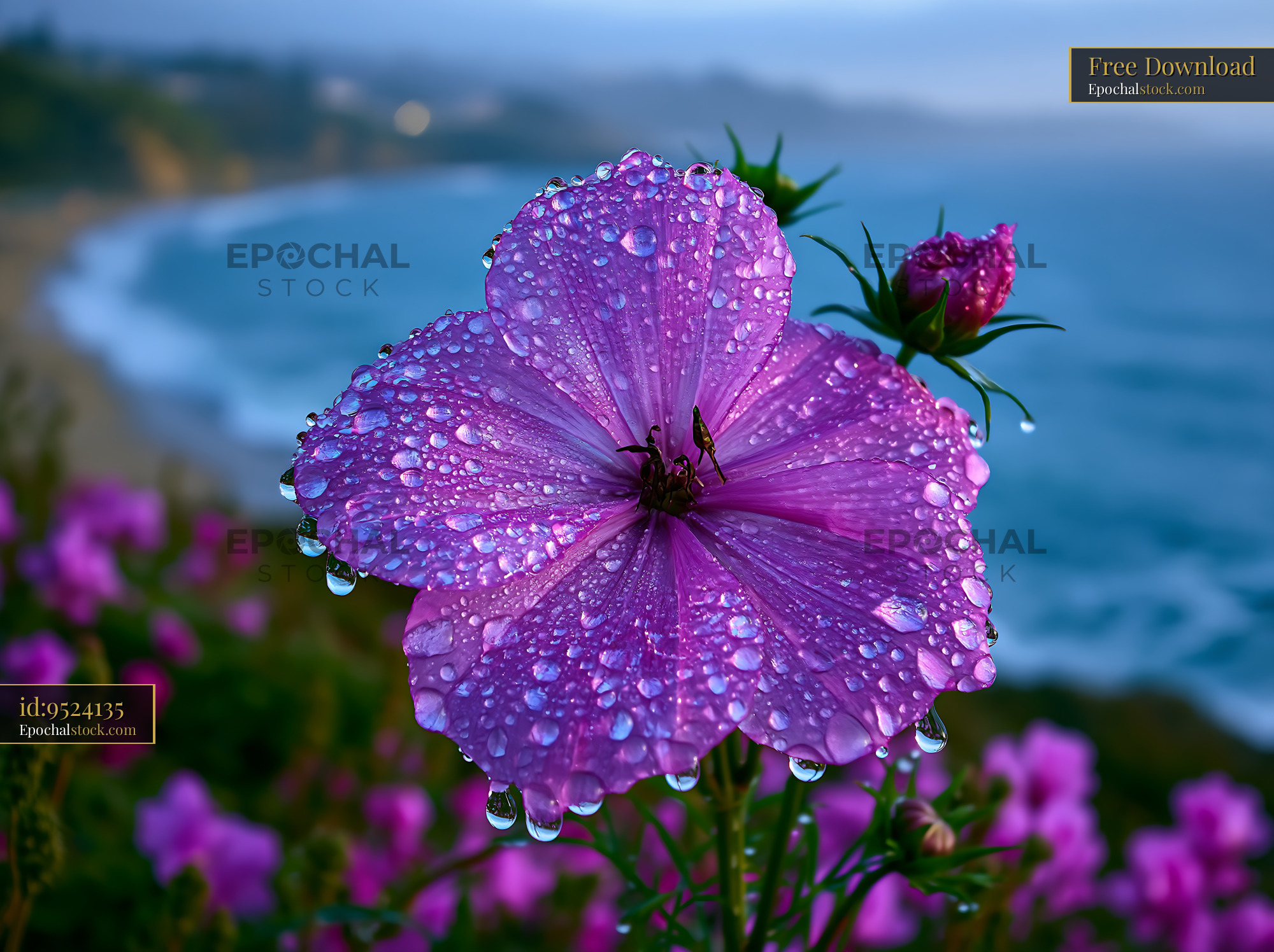 Watermarked full-resolution preview of Close-up of purple flower with water droplets by the ocean