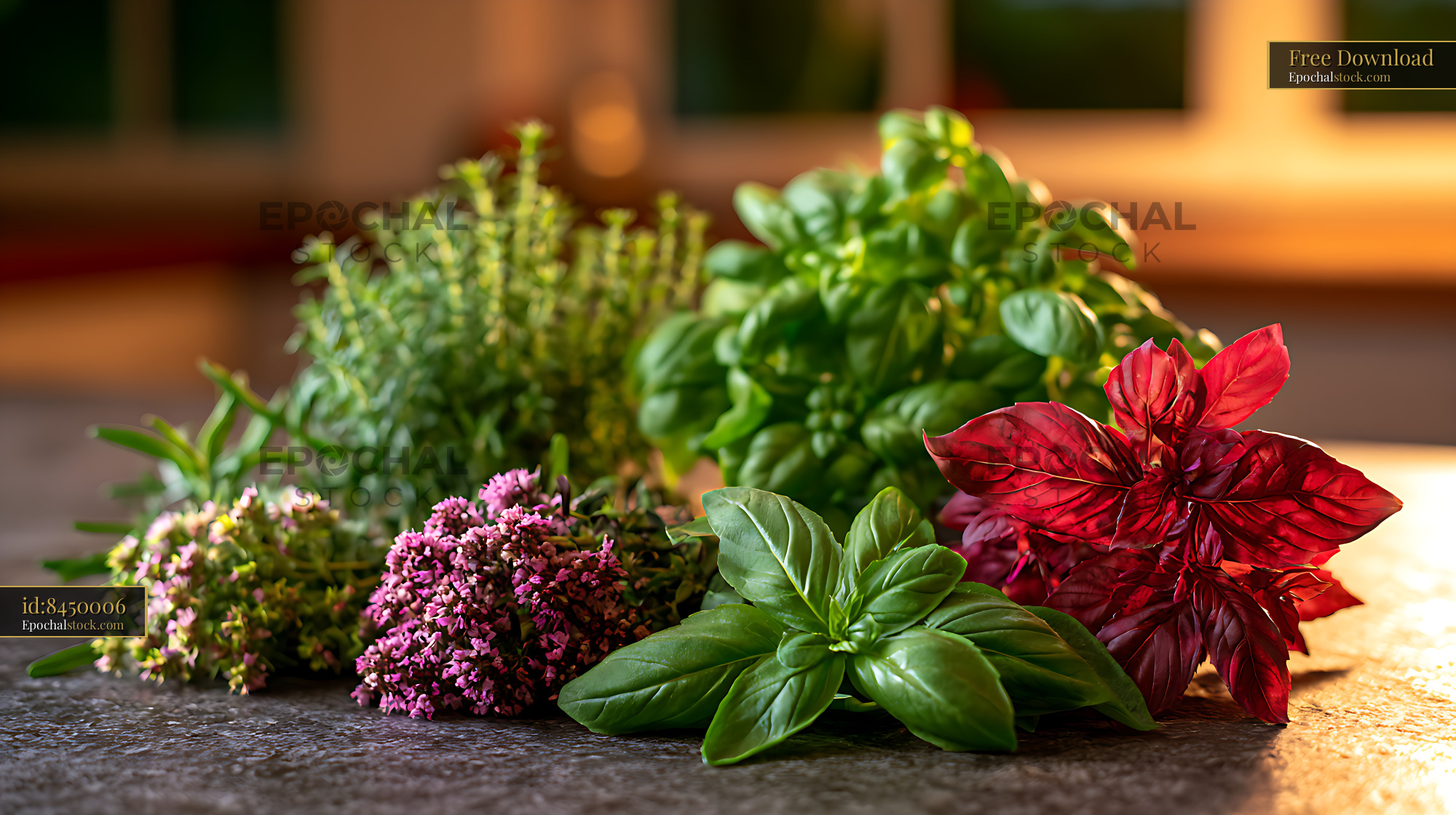 Watermarked full-resolution preview of Fresh herbs and colorful flowering plants in warm indoor light