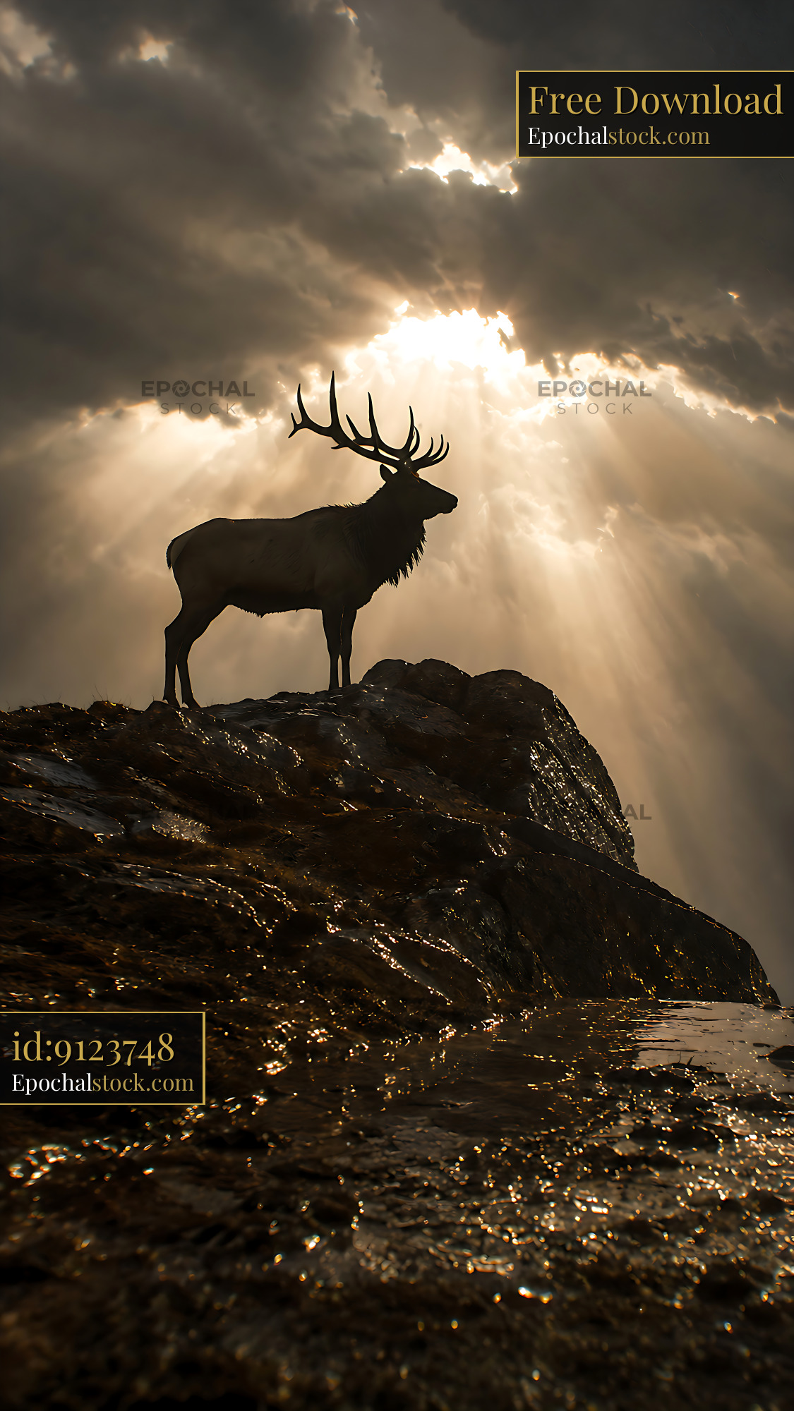 Deer Stands on Rock Under Clouds With Beams of Light Shining - stock photo