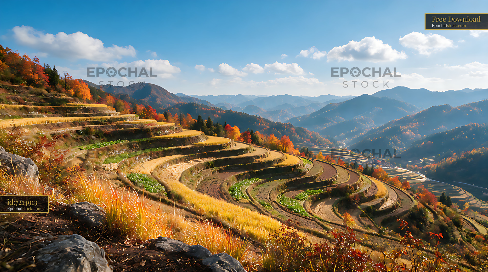 Watermarked full-resolution preview of Mountain terraces and autumn valley panorama