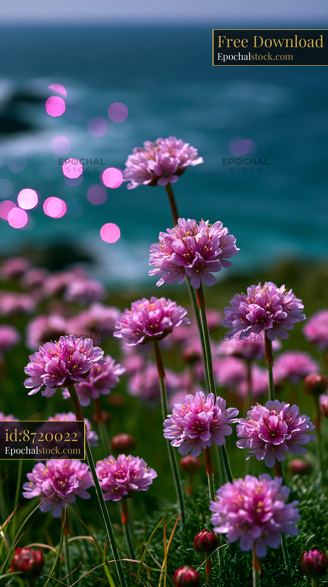 Watermarked full-resolution preview of Pink flowers bloom by the ocean shore