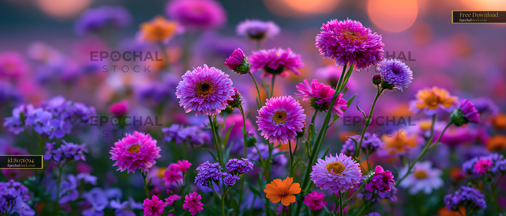 Watermarked full-resolution preview of Colorful flowers blooming in a garden during sunset