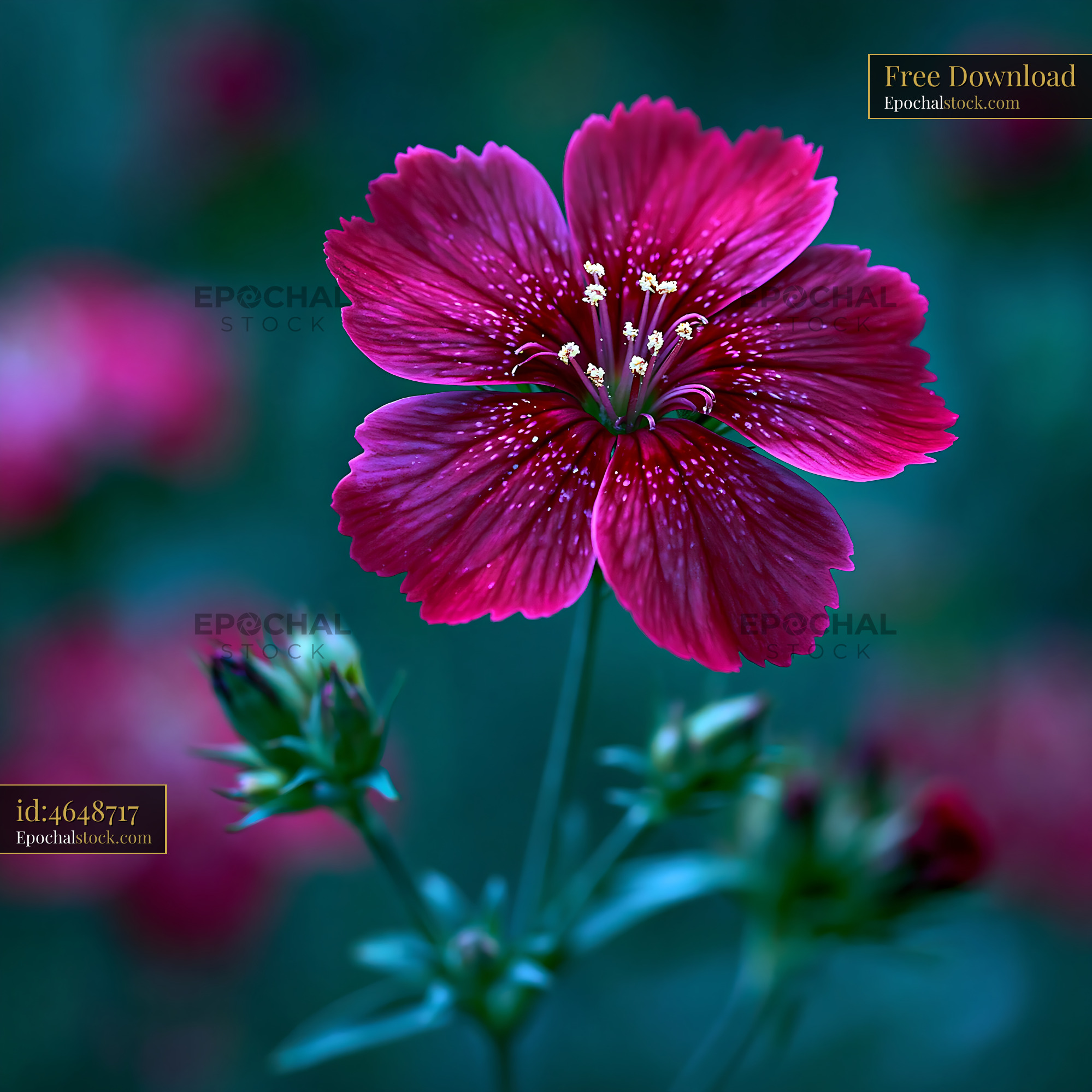 Watermarked full-resolution preview of Bright pink flower with green background