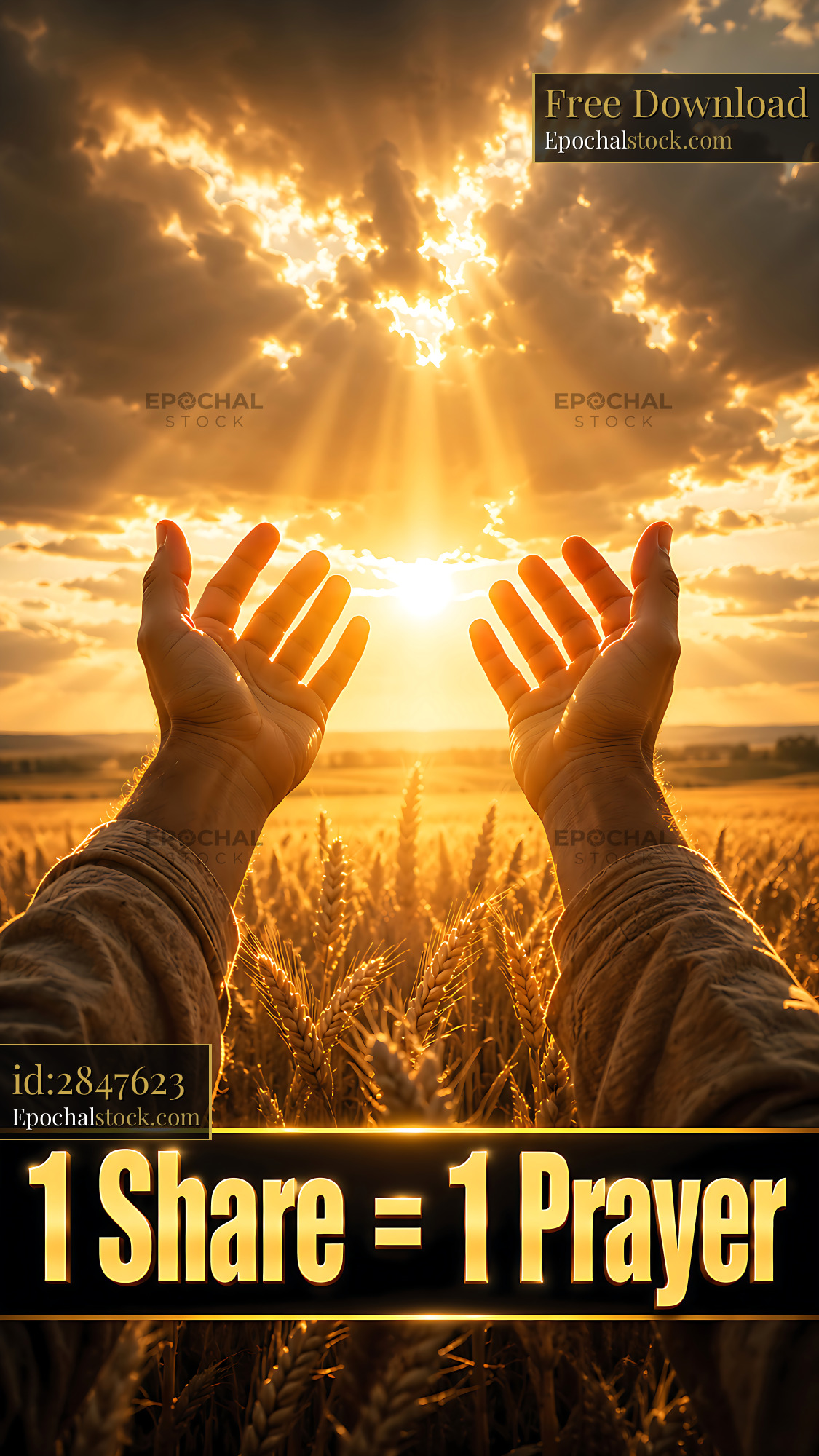 Watermarked full-resolution preview of Hands raised in wheat field with light shining through clouds