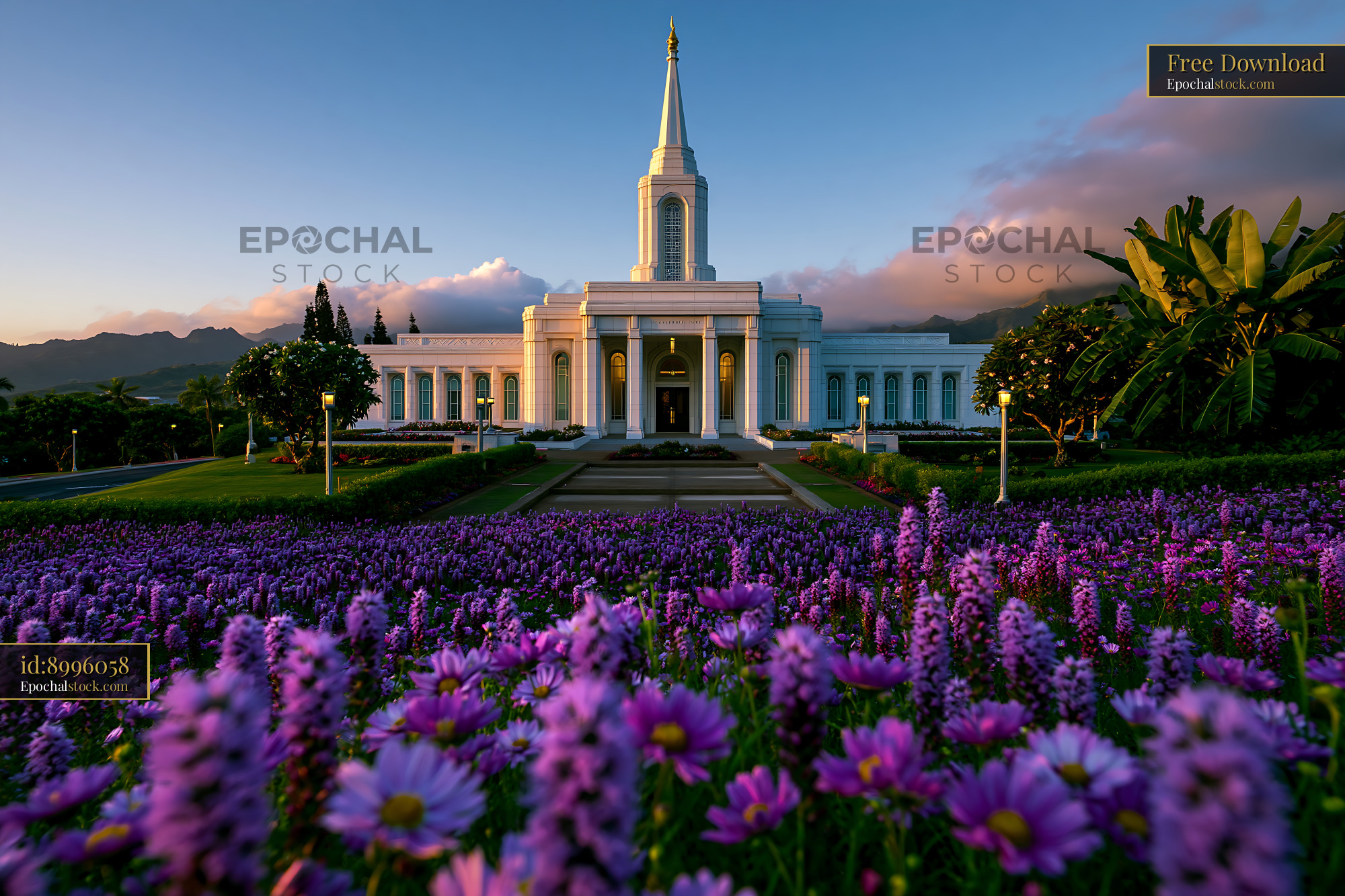 Watermarked full-resolution preview of Colorful flowers in front of the temple at sunset