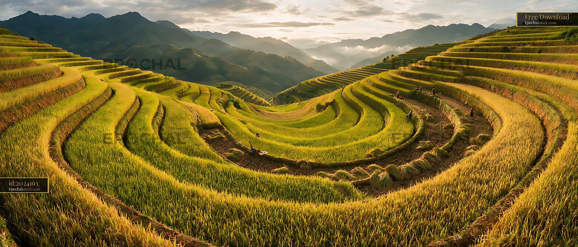 Watermarked full-resolution preview of Sunlit terraced fields in a mountain valley