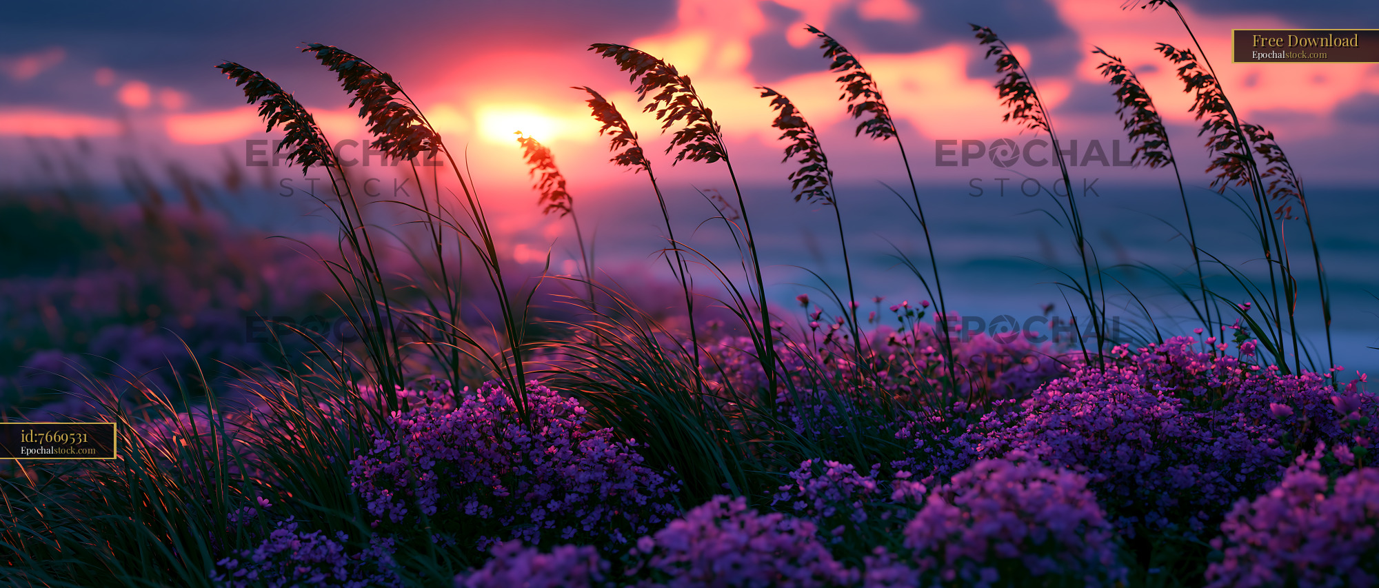 Watermarked full-resolution preview of Sunset over flowers and tall grass by the ocean
