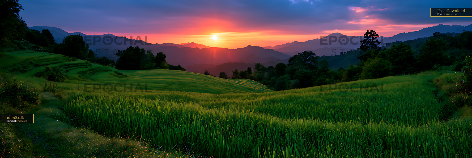 Watermarked full-resolution preview of Panoramic sunset across green terraced fields and mountains