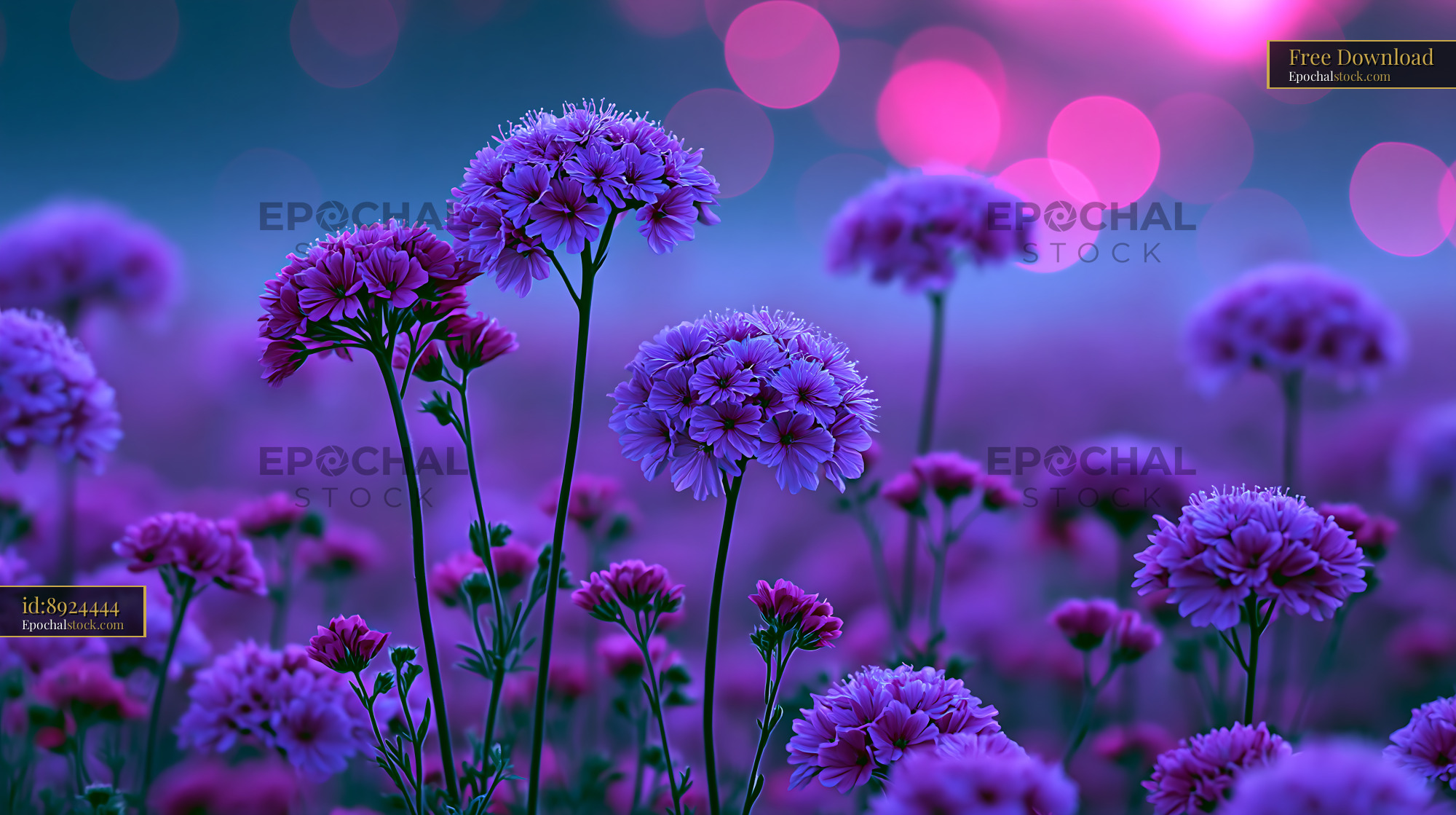 Watermarked full-resolution preview of Colorful flowers with bokeh background in garden setting