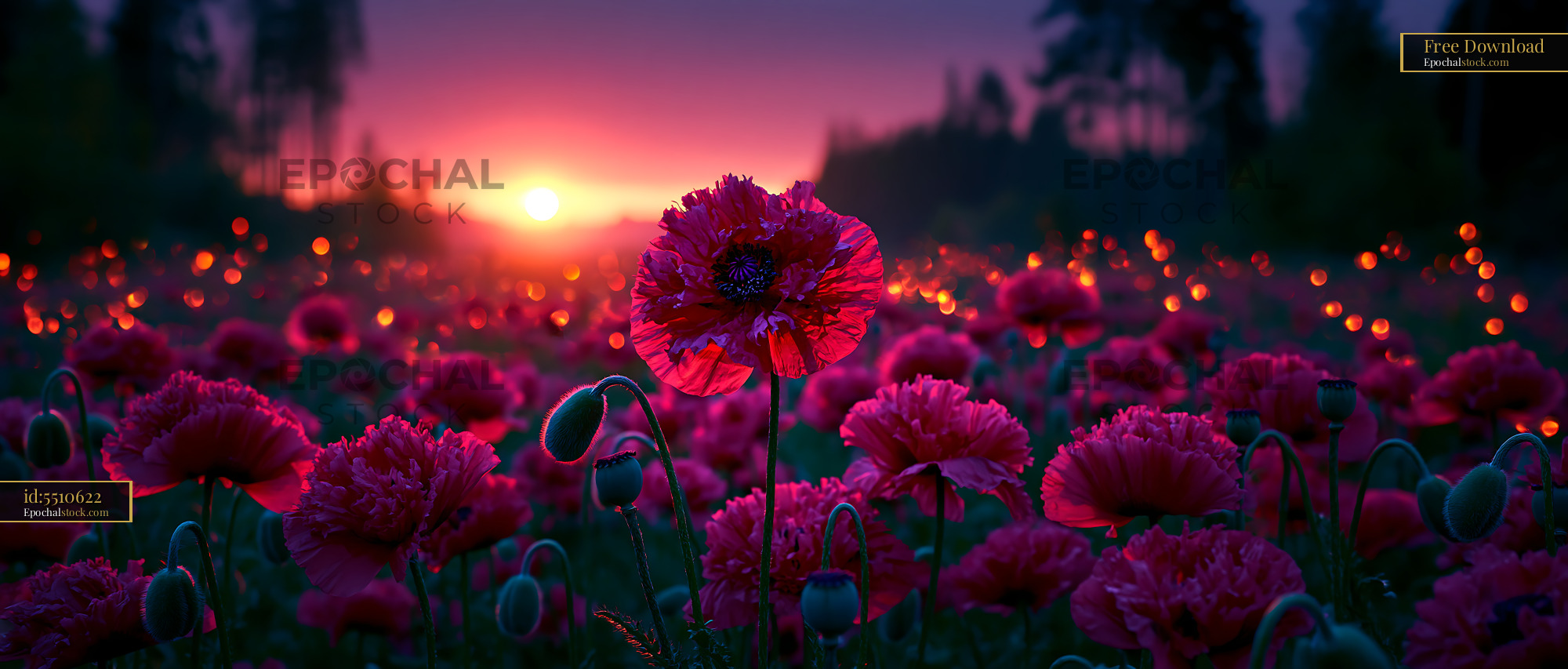 Watermarked full-resolution preview of Vibrant poppy field at sunset with glowing lights