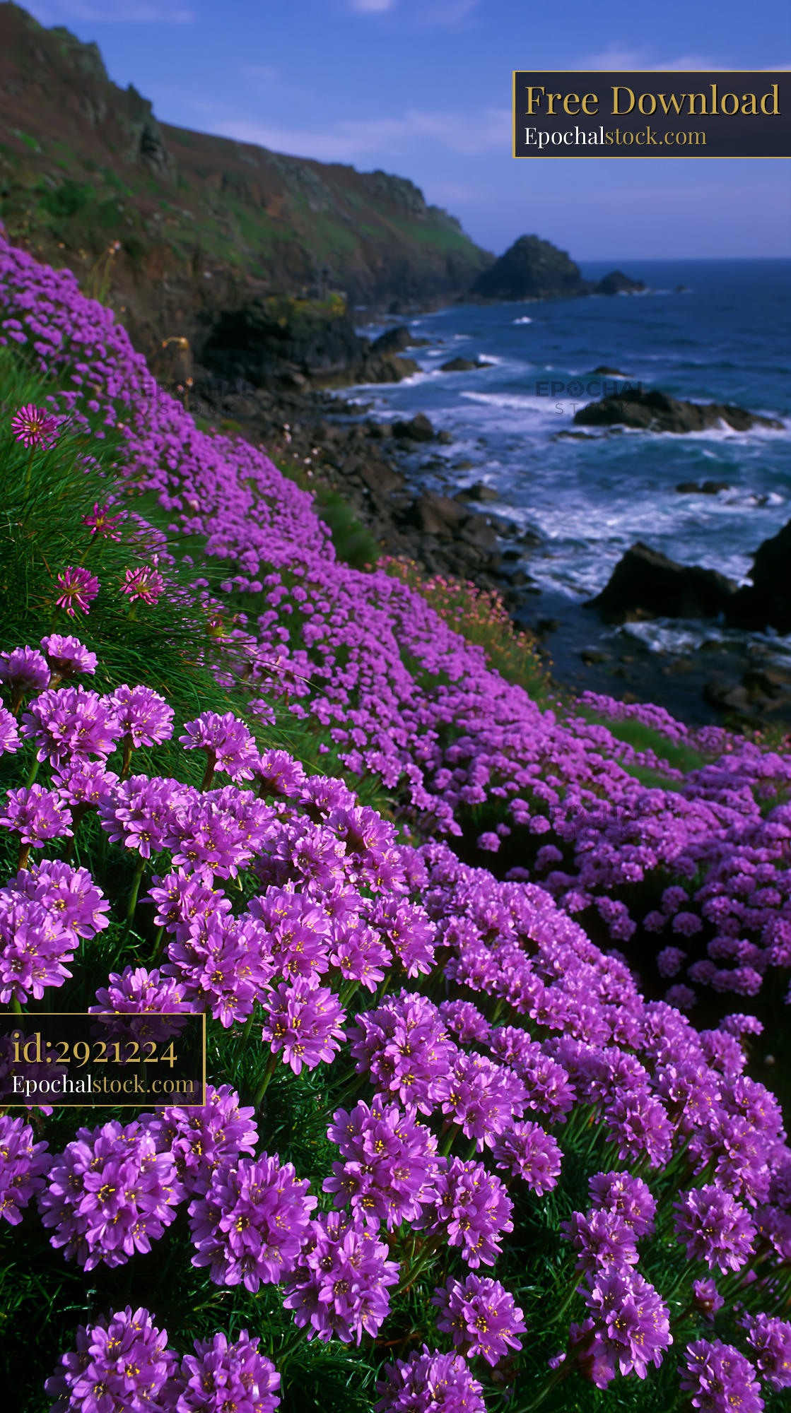 Watermarked full-resolution preview of Coastal view with purple flowers and ocean waves