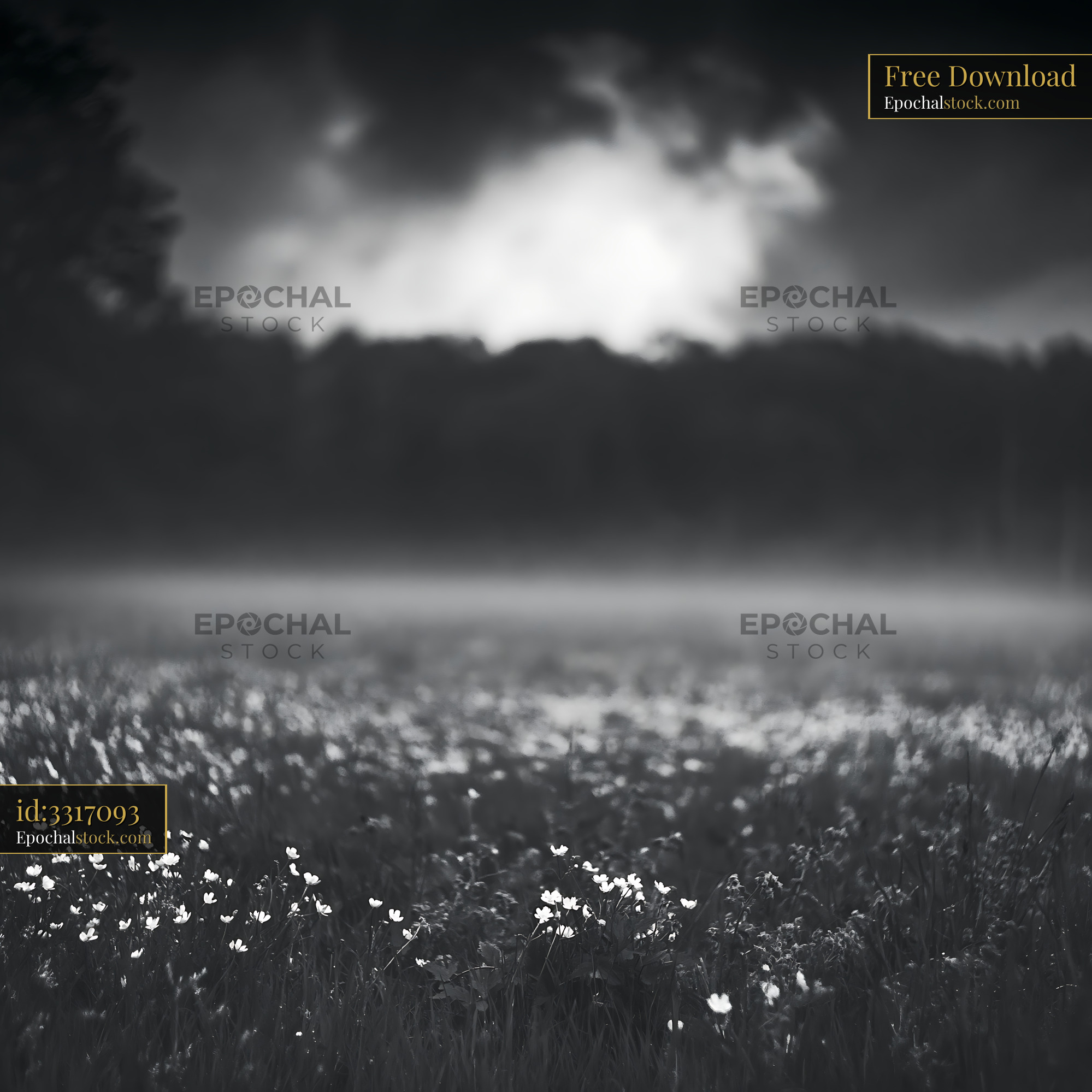 Watermarked full-resolution preview of Dark field with flowers under cloudy sky