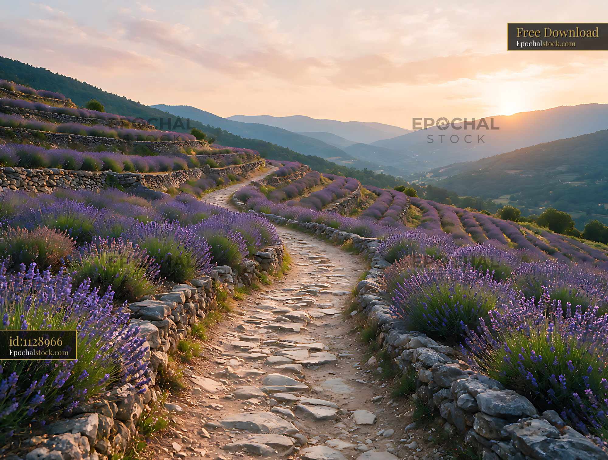 Watermarked full-resolution preview of Lavender terraces and stone path in a mountain valley
