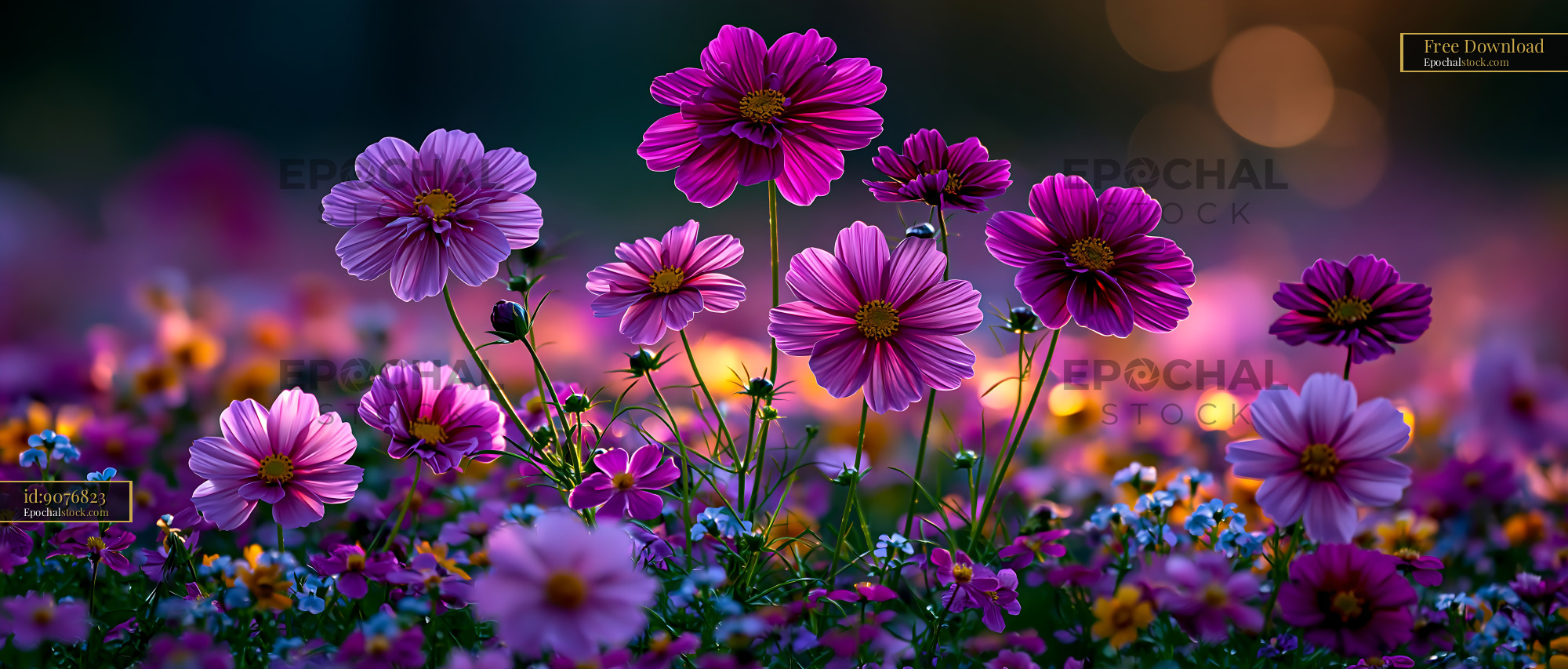 Watermarked full-resolution preview of Colorful flowers blooming in a garden at sunset