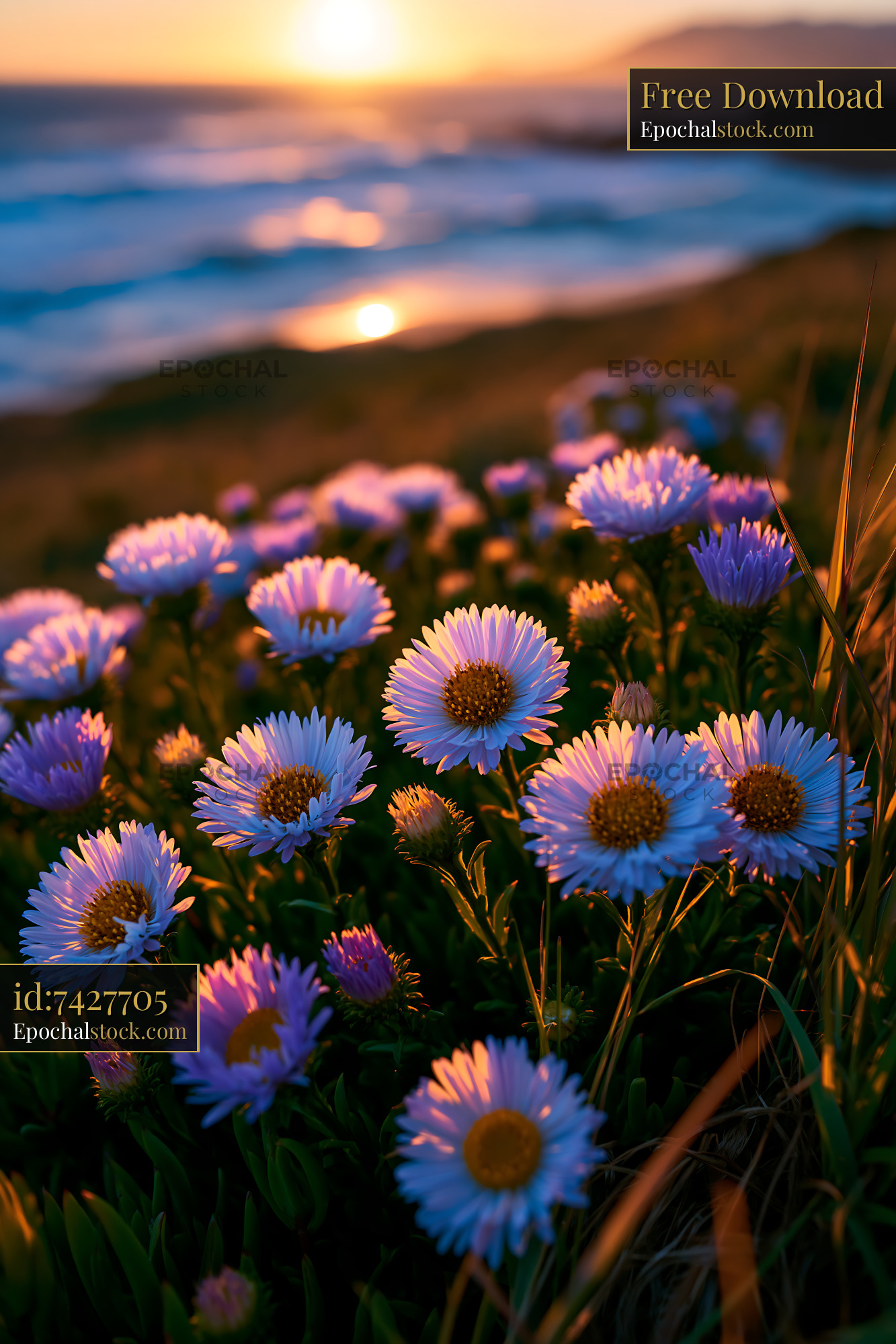 Watermarked full-resolution preview of Flowers bloom by the ocean at sunset