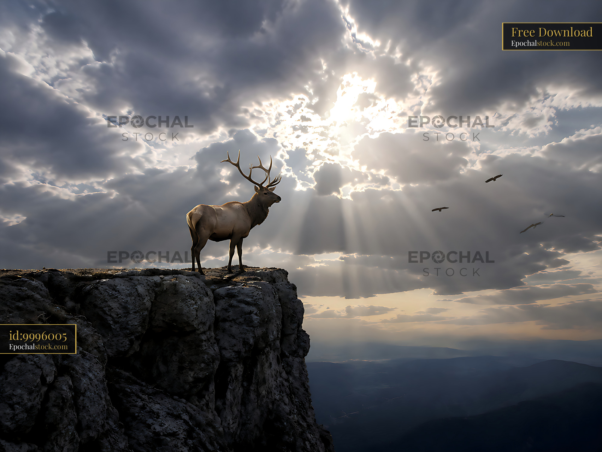 Watermarked full-resolution preview of Elk standing on rocky cliff under dramatic sky