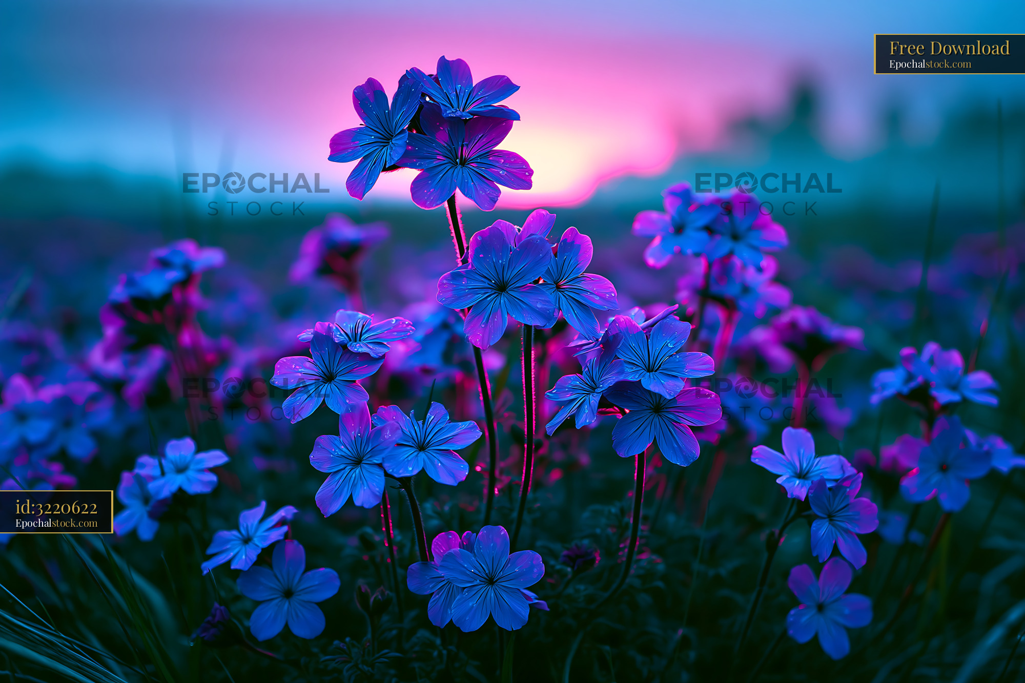 Flowers Bloom at Dusk With Purple and Blue Hues Lighting the Sky - stock photo