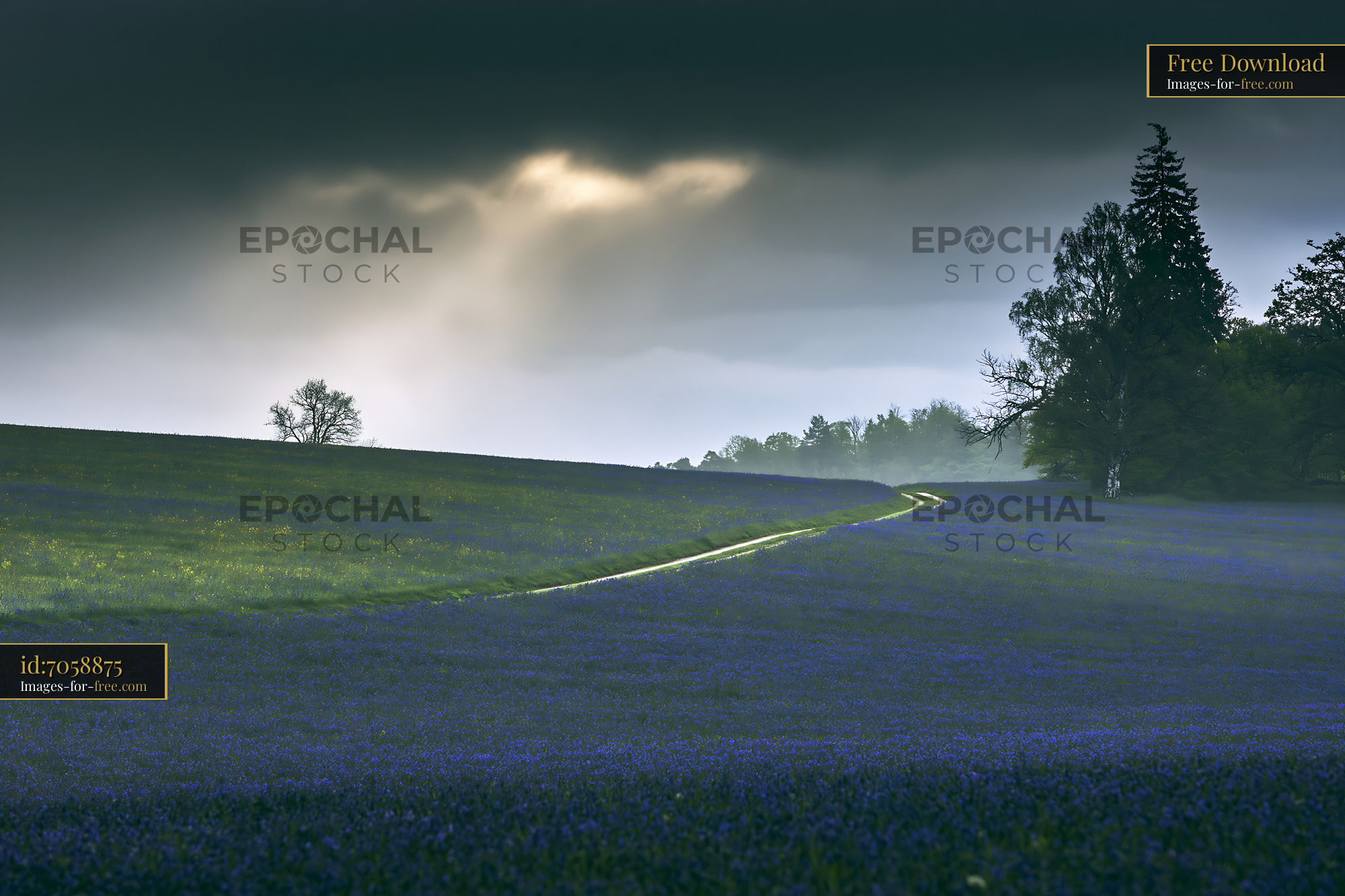 Watermarked full-resolution preview of Path through a field of blue flowers under cloudy sky