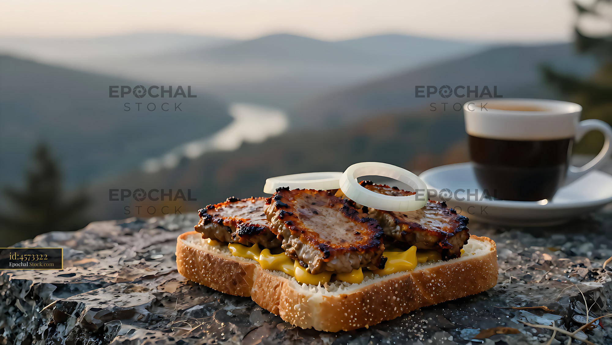 Livermush Sandwich Overlooking Mountain Valley - stock photo