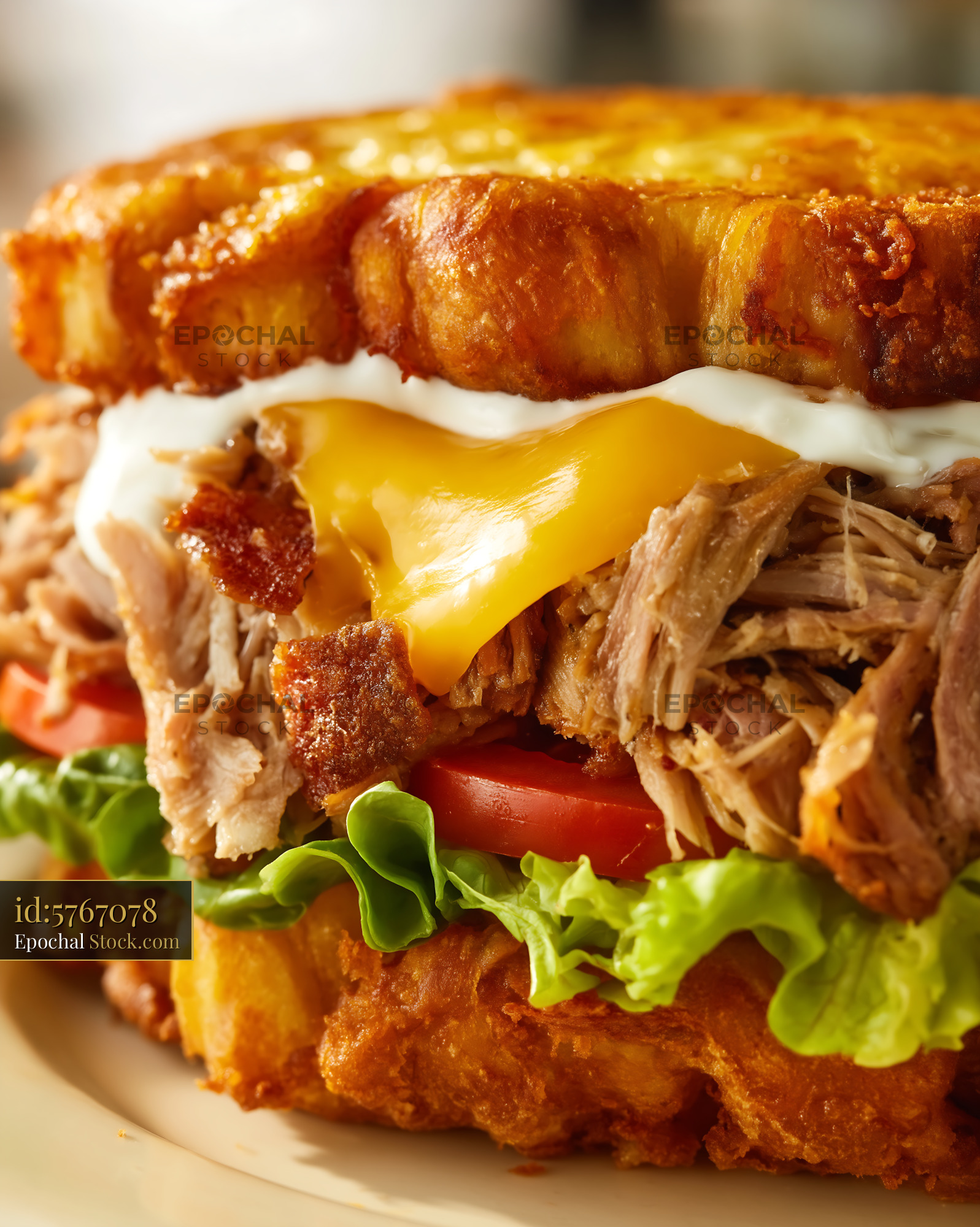 Jibarito Burger with Pulled Pork, Melted Cheese, and Fresh Toppings - stock photo