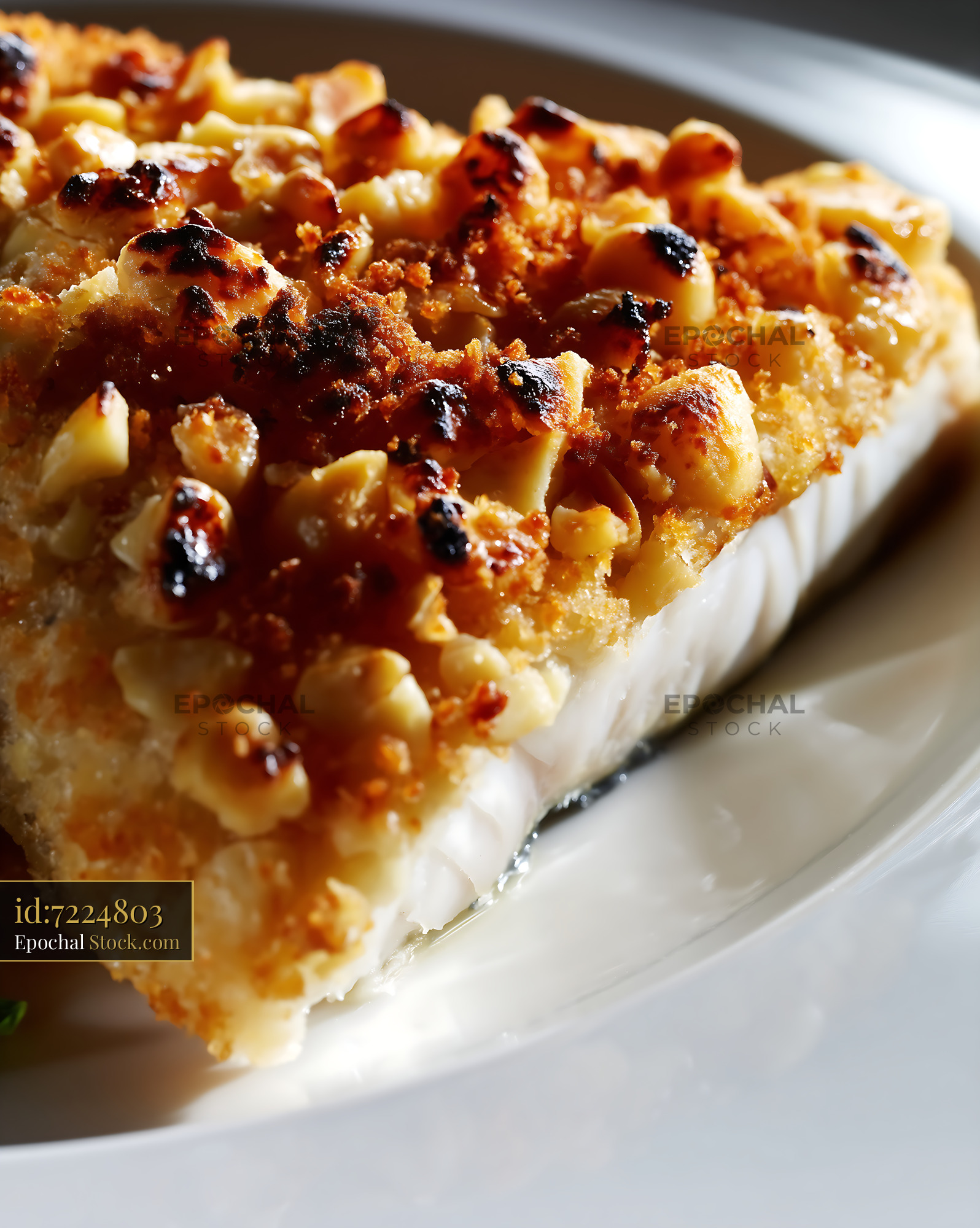 Macadamia Crusted Fish Fillet on White Plate - stock photo