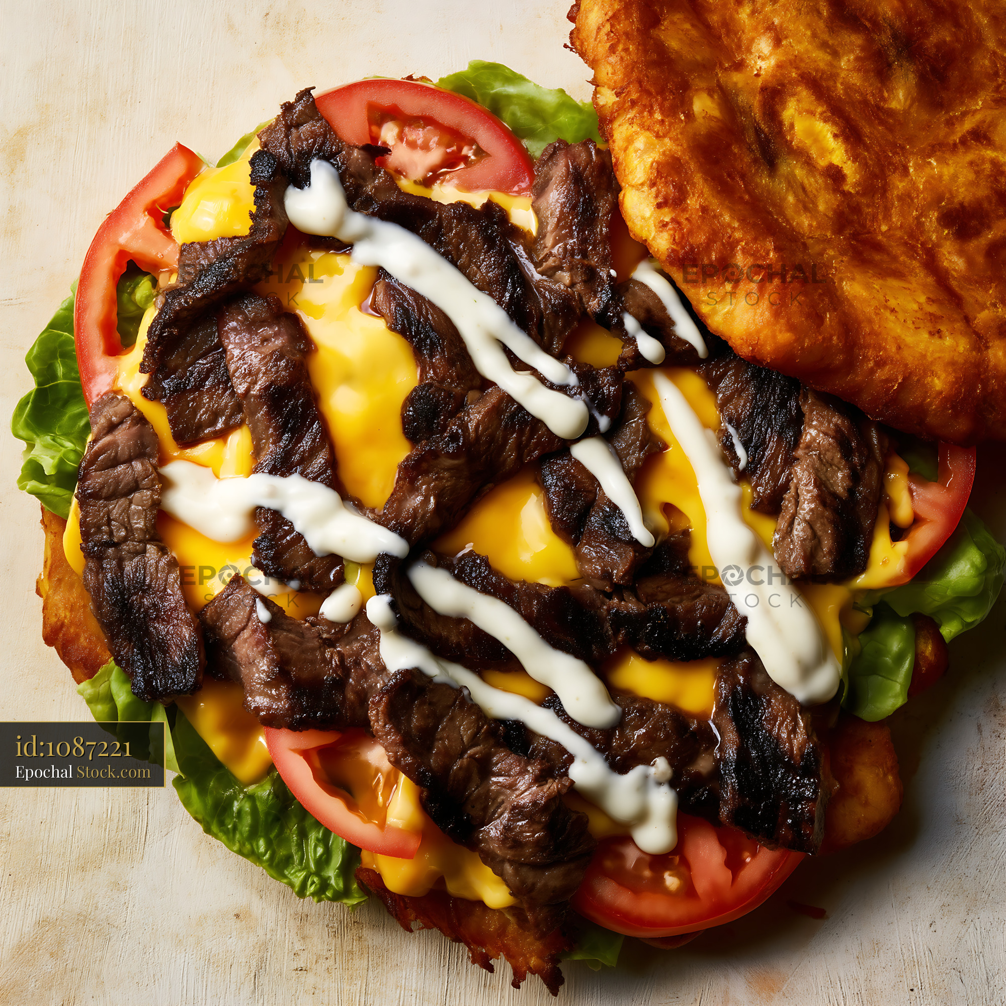 Gourmet Beef Sandwich with Melted Cheese and Aioli - stock photo