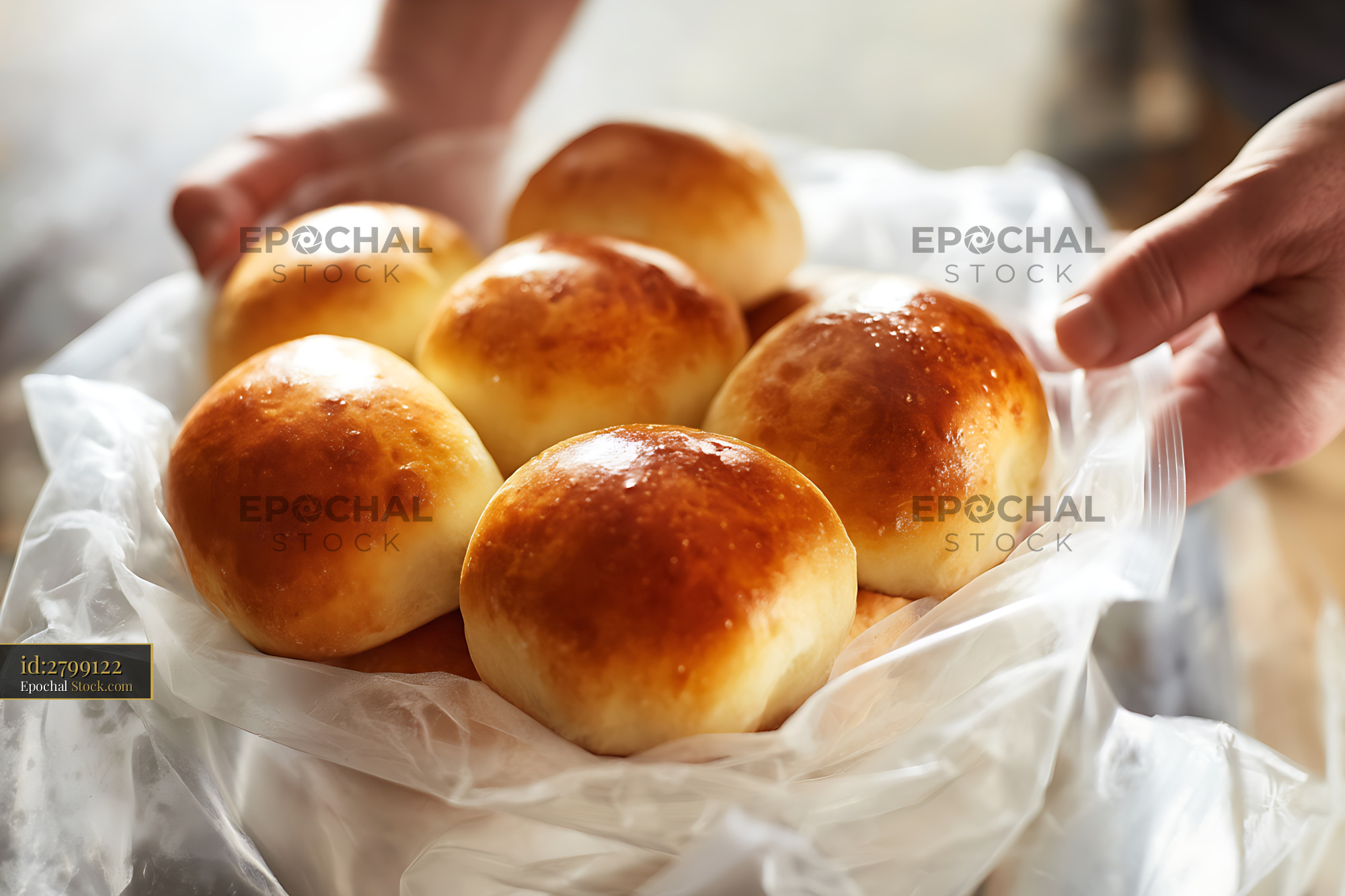 Freshly Baked Bread Rolls in Hands - stock photo
