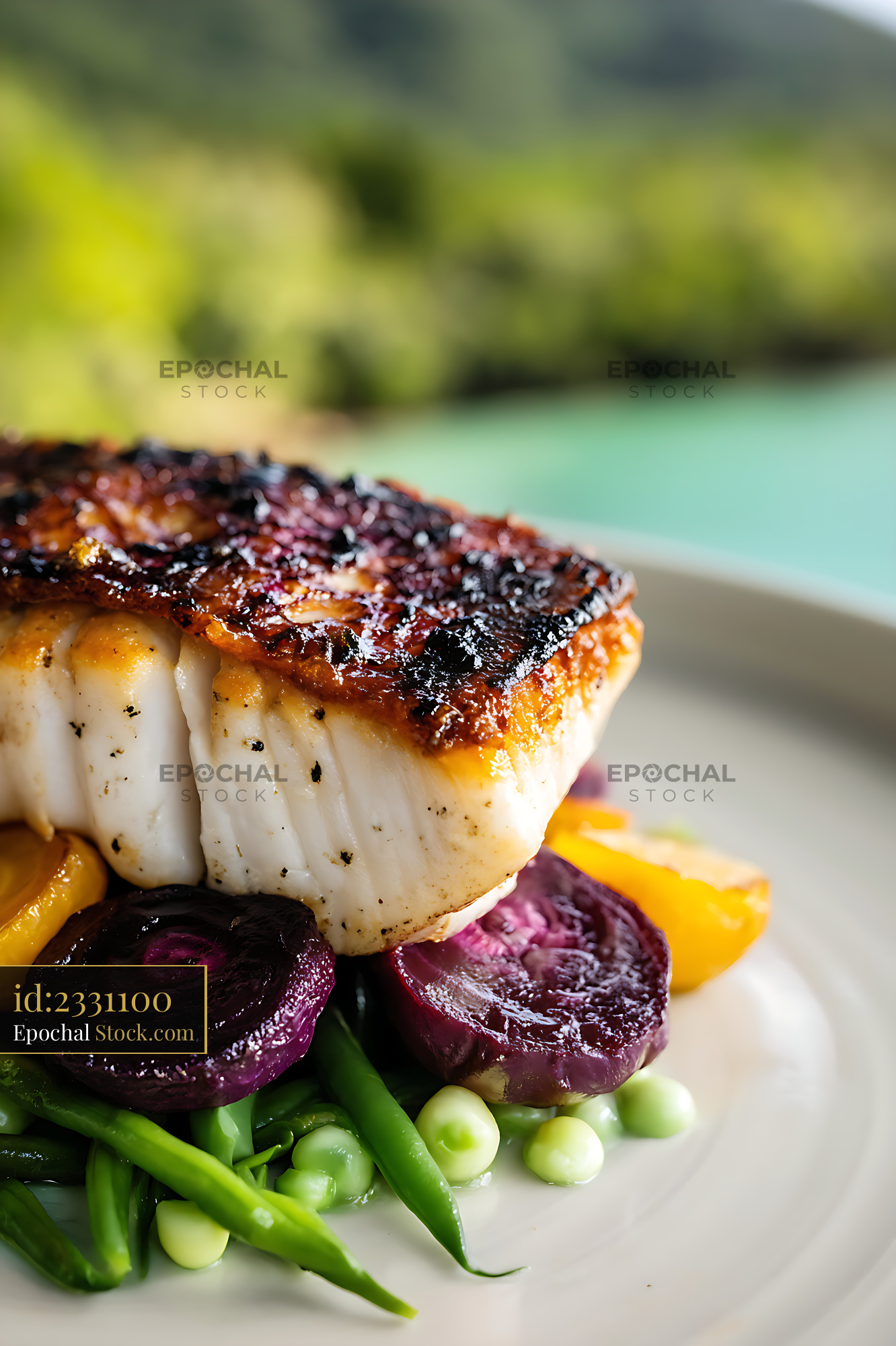 Seared Murray Cod Fillet with Roasted Beets - stock photo