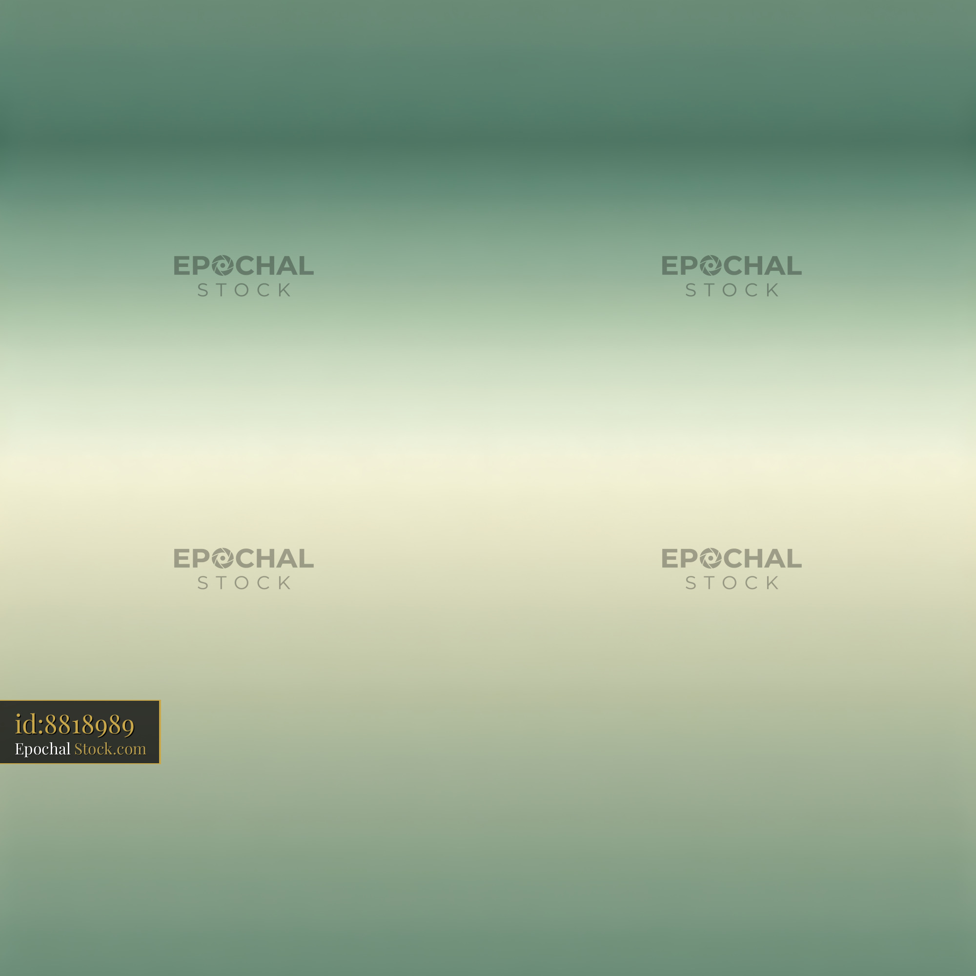 Sage Green Cream Ombre Horizontal Seamless Pattern - stock photo