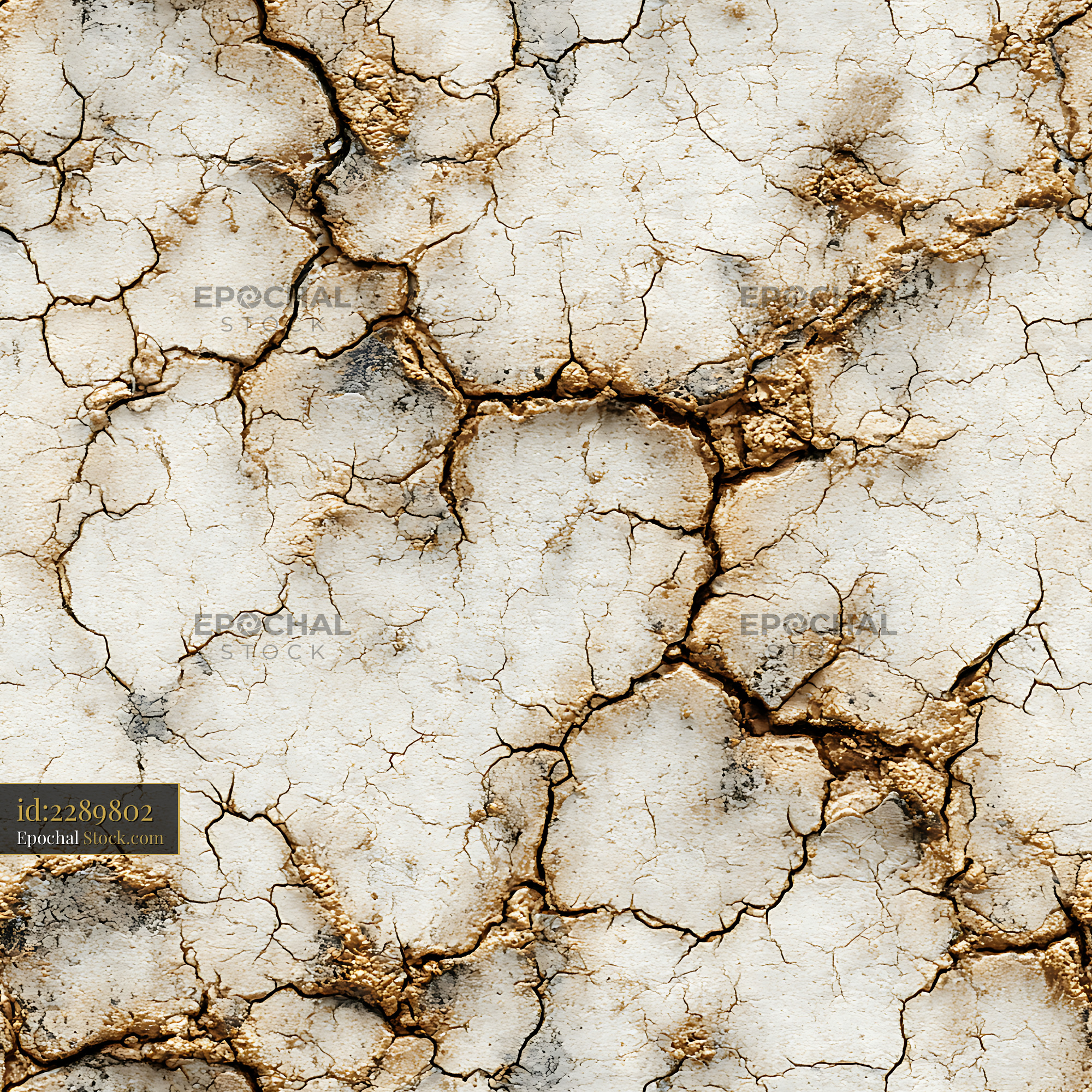 Bone White Cracked Earth Mineral Seamless Pattern - stock photo