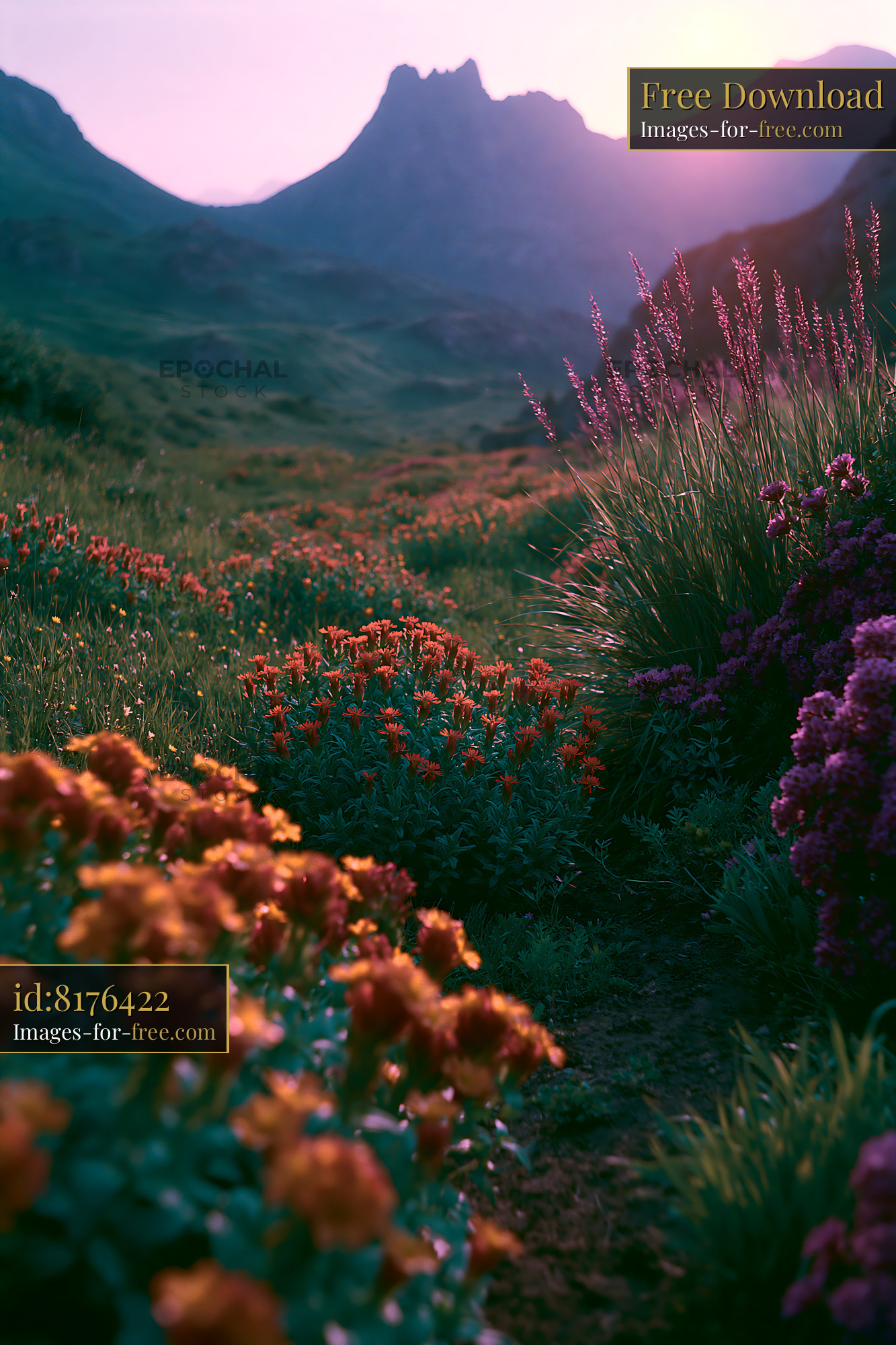 Watermarked full-resolution preview of Colorful flowers in a lush valley at sunset