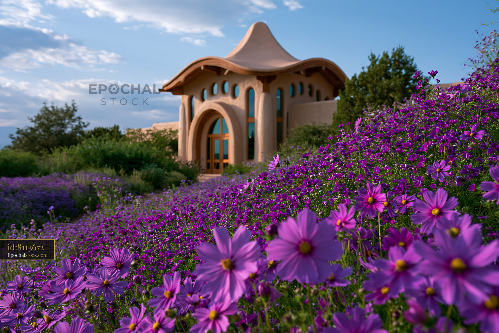 Watermarked full-resolution preview of Vibrant purple flowers in front of a unique building at sunset